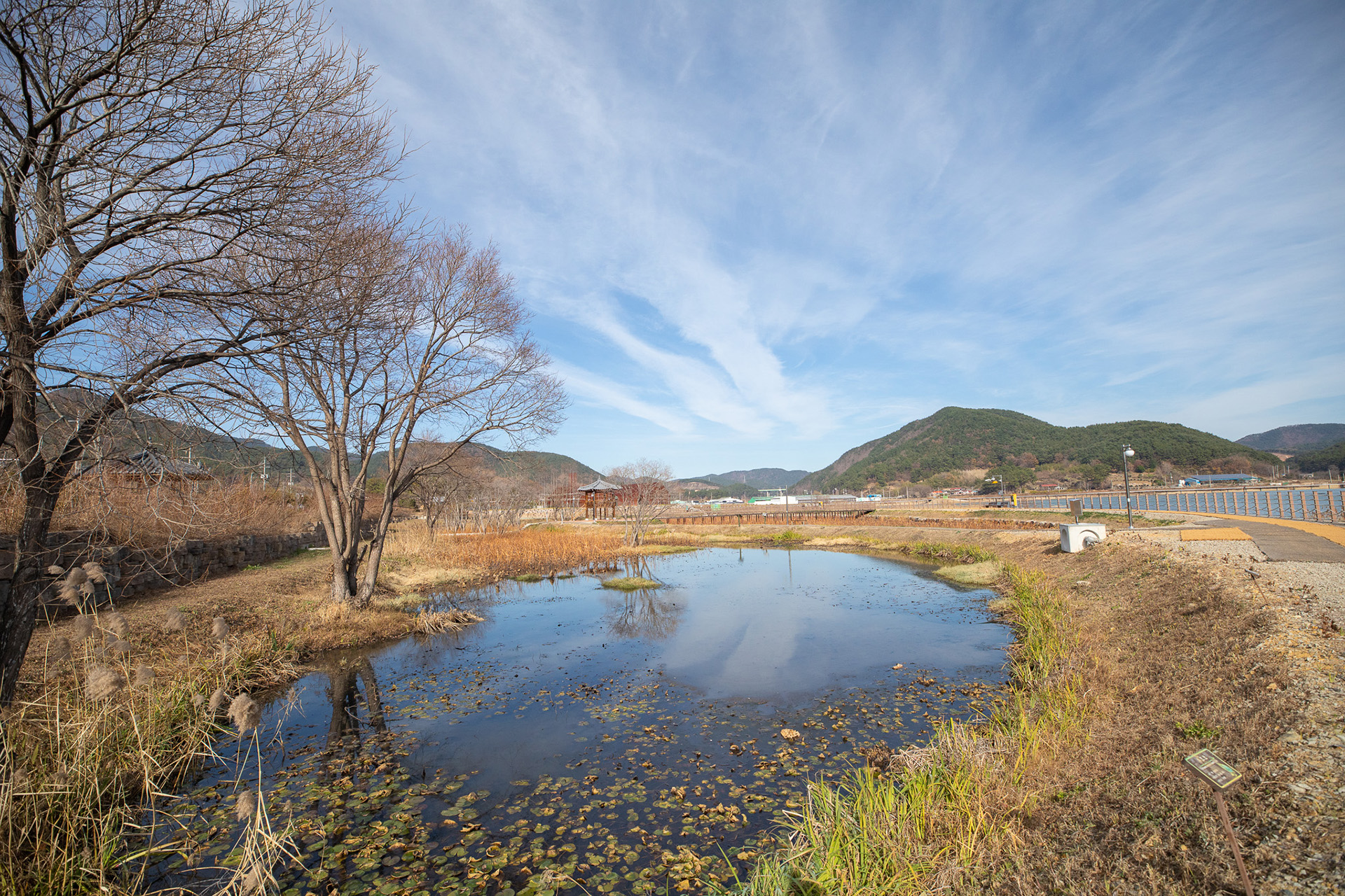 대가저수지연꽃테마공원