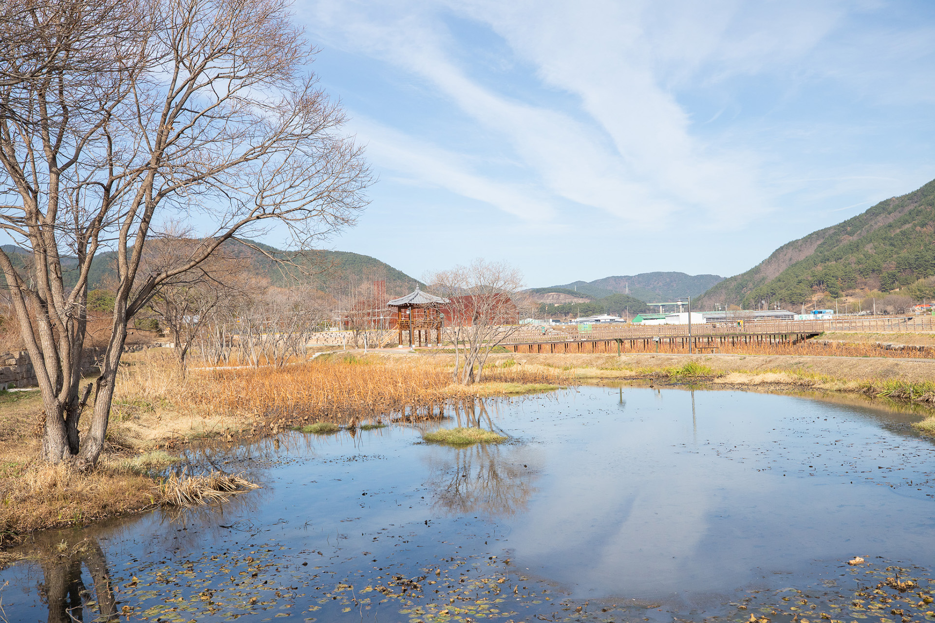대가저수지연꽃테마공원
