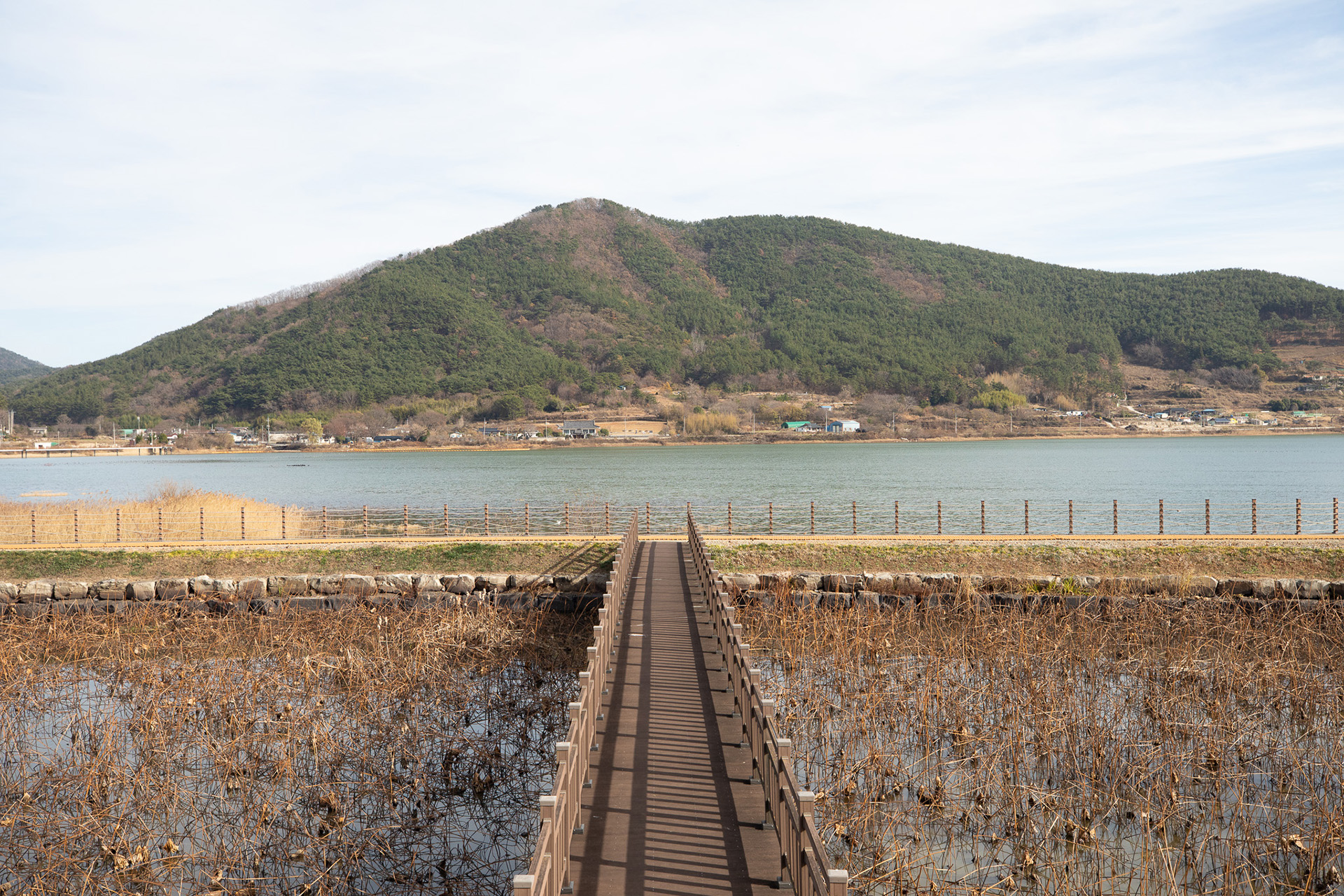 대가저수지연꽃테마공원