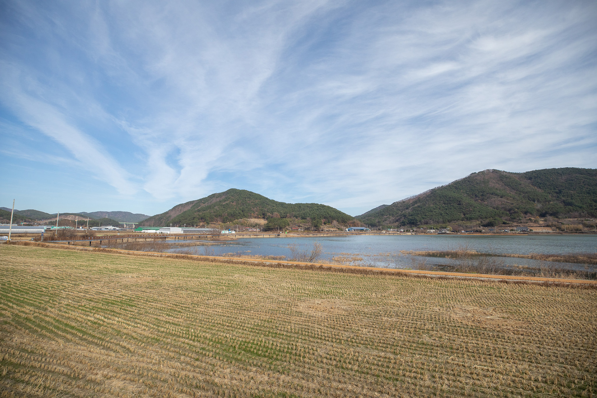 대가저수지연꽃테마공원
