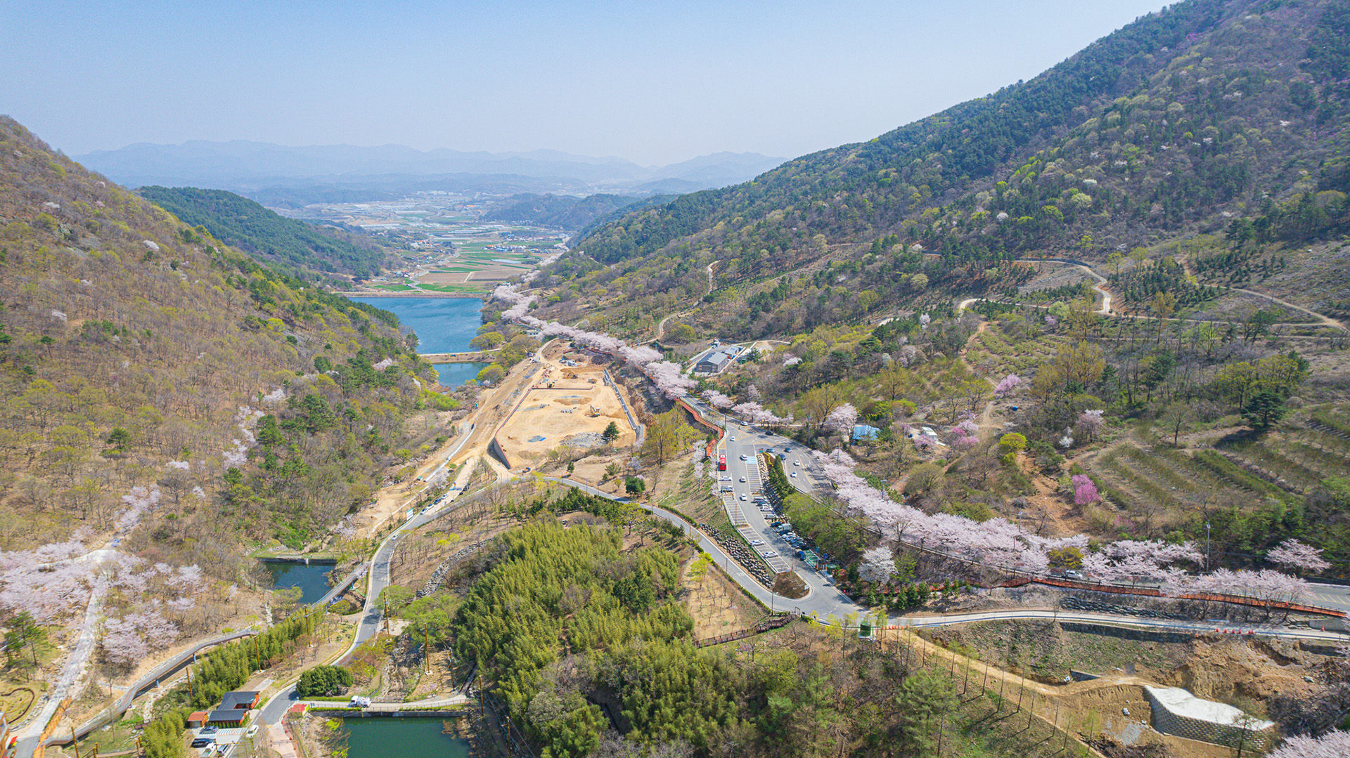 월아산 질매재 벚꽃길
