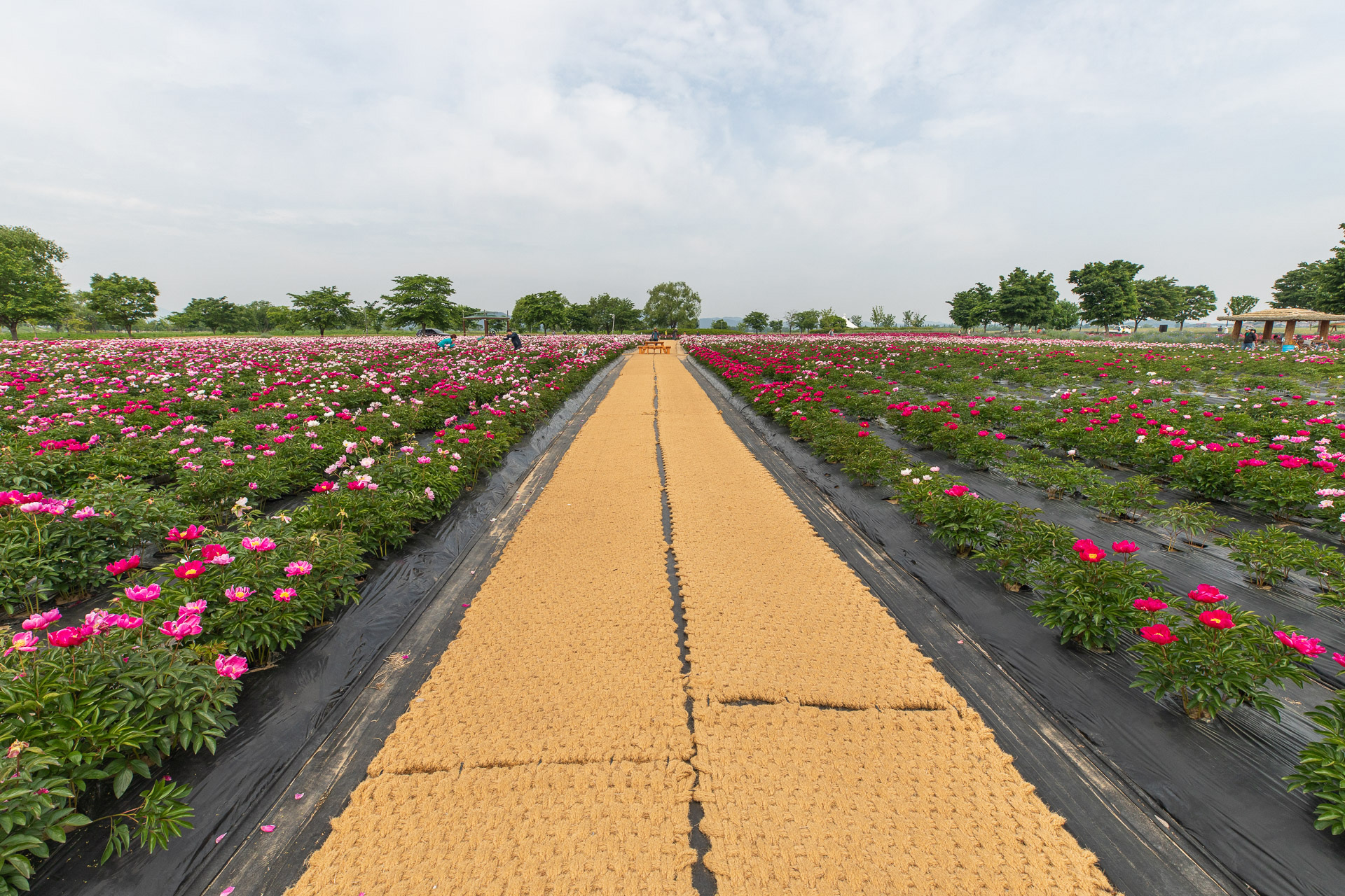 강나루 생태공원