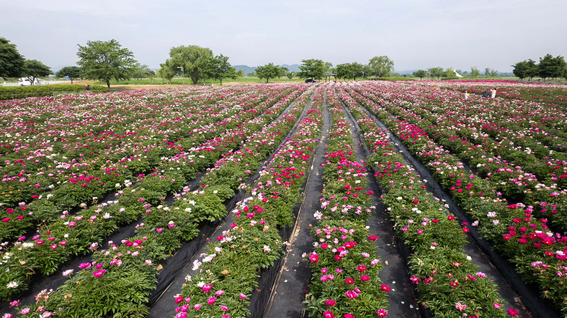 강나루 생태공원