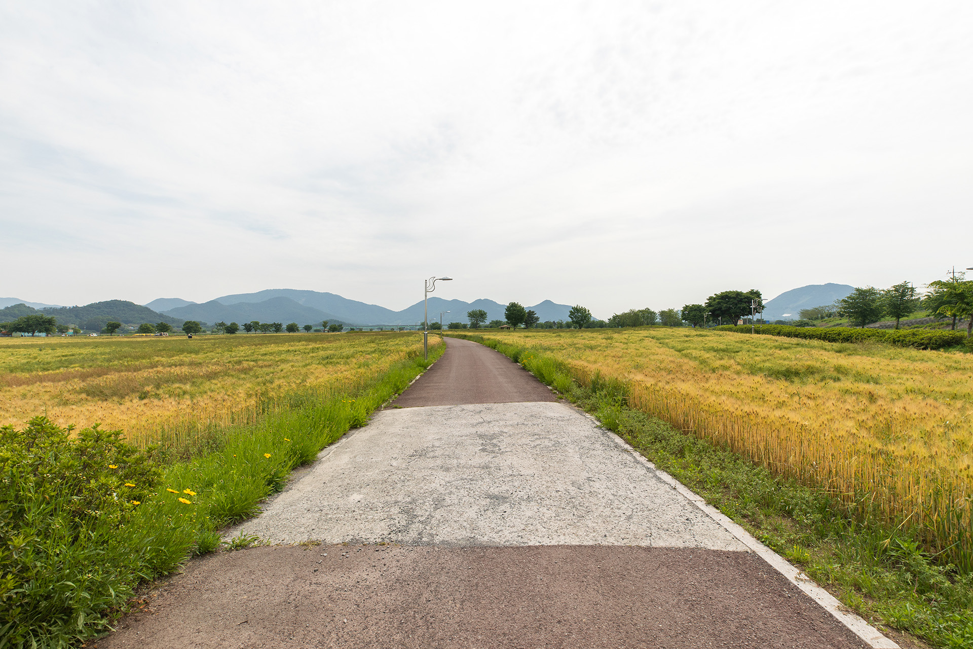 강나루 생태공원