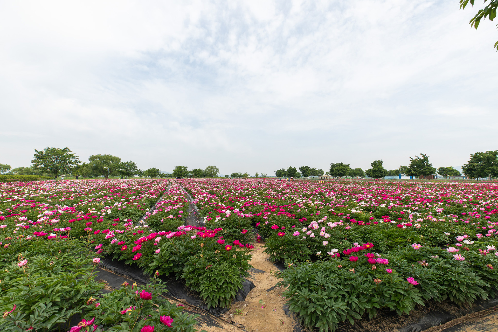 강나루 생태공원