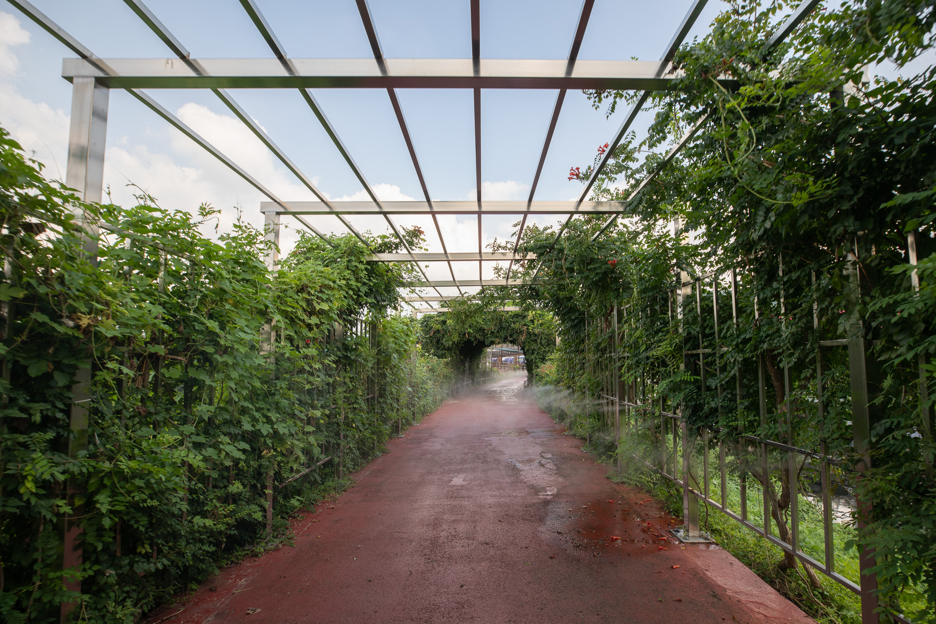 김해 낙동강레일파크