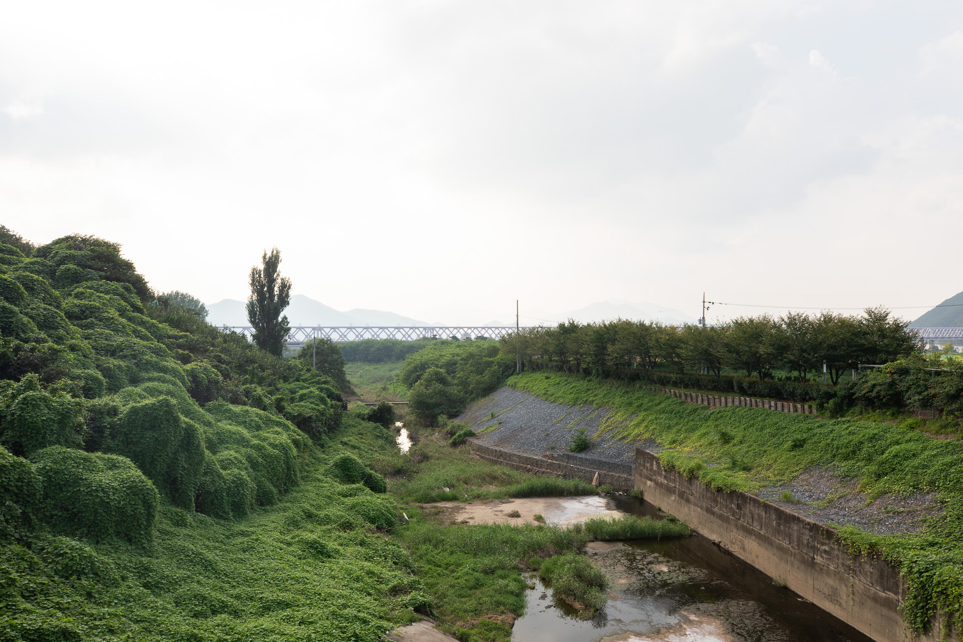 김해 낙동강레일파크