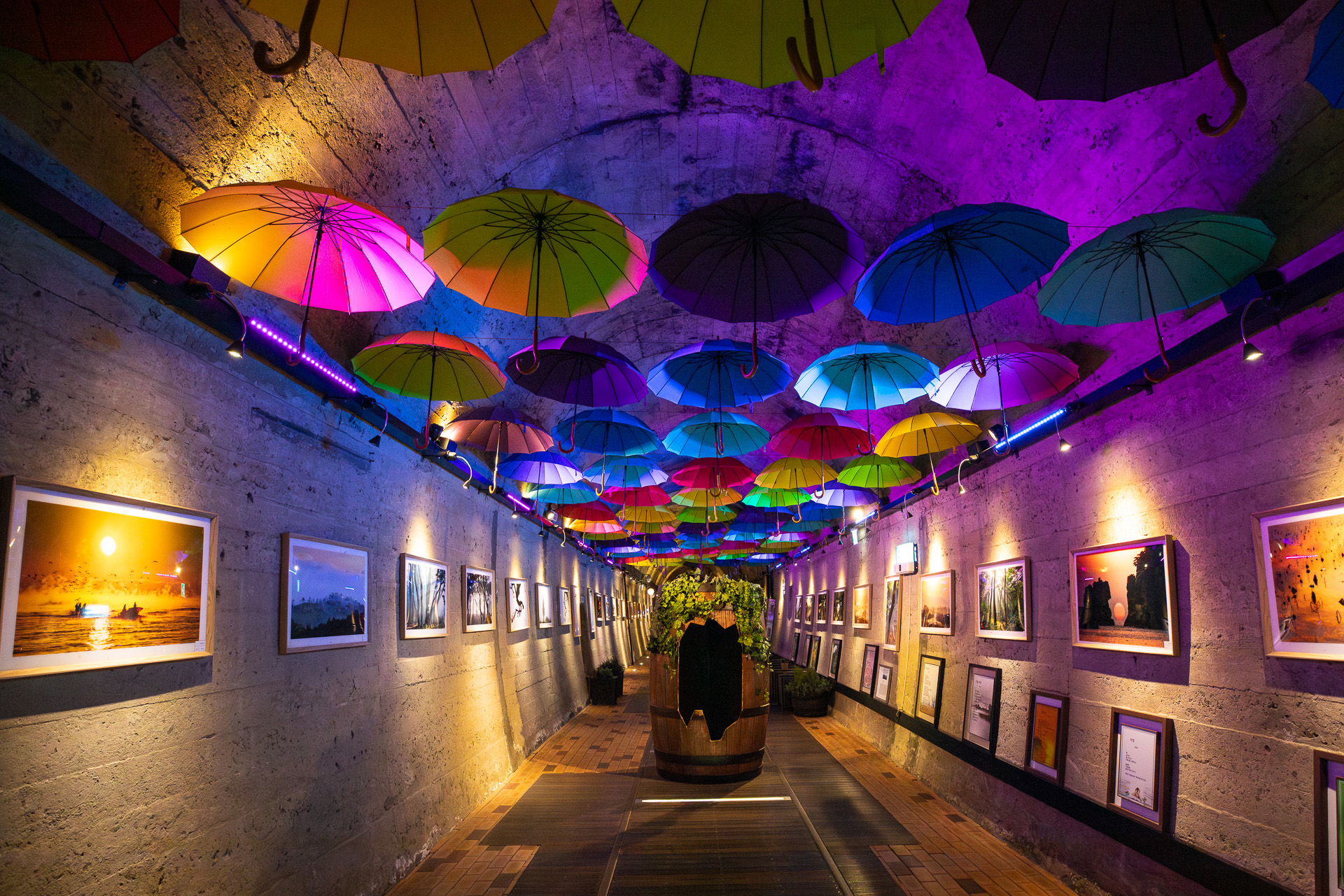 김해 낙동강레일파크