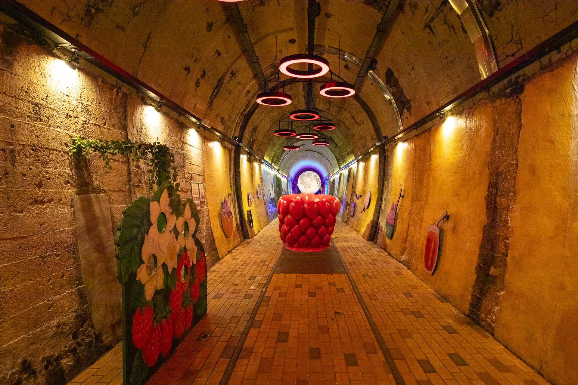 김해 낙동강레일파크