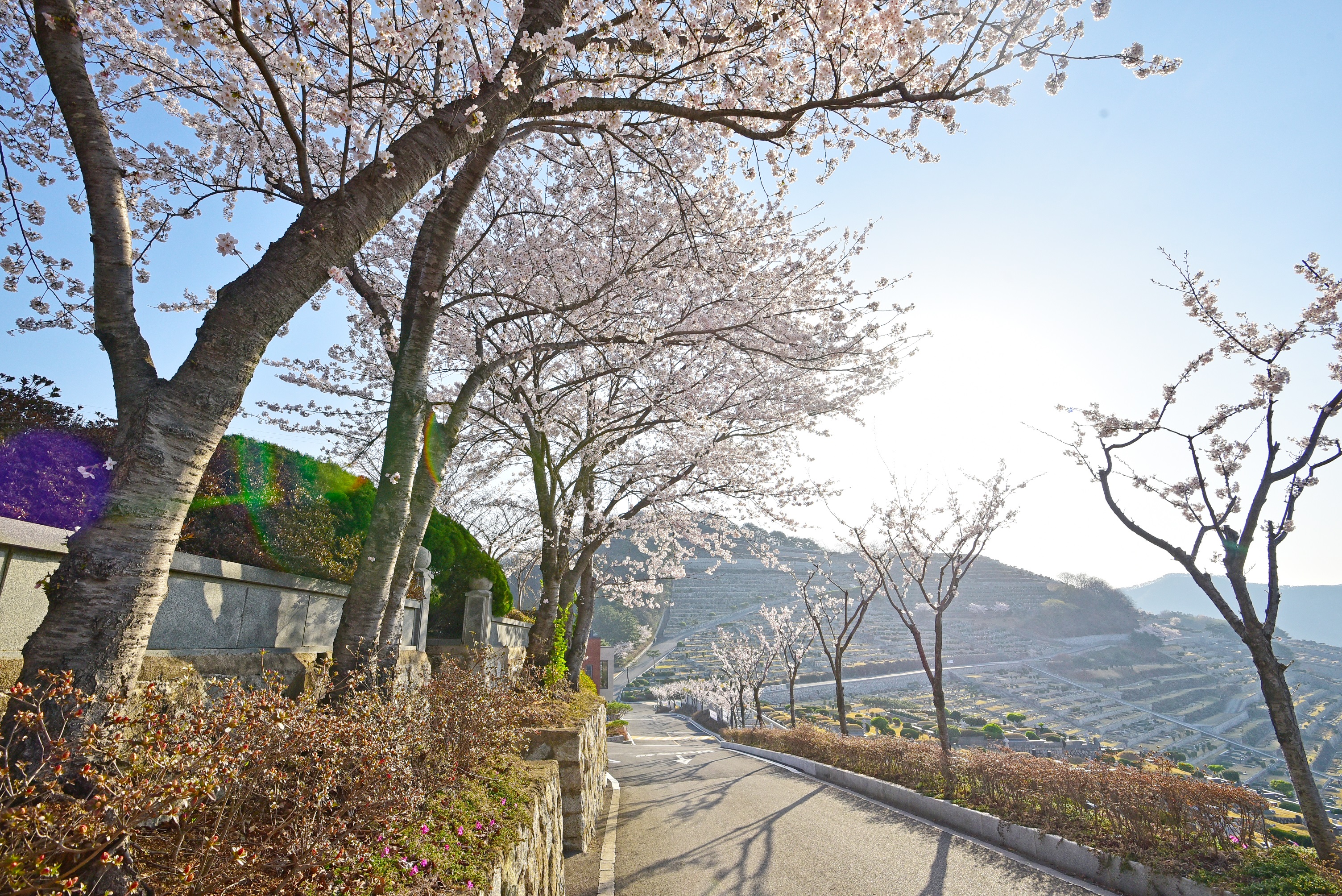 낙원추모공원 에데나