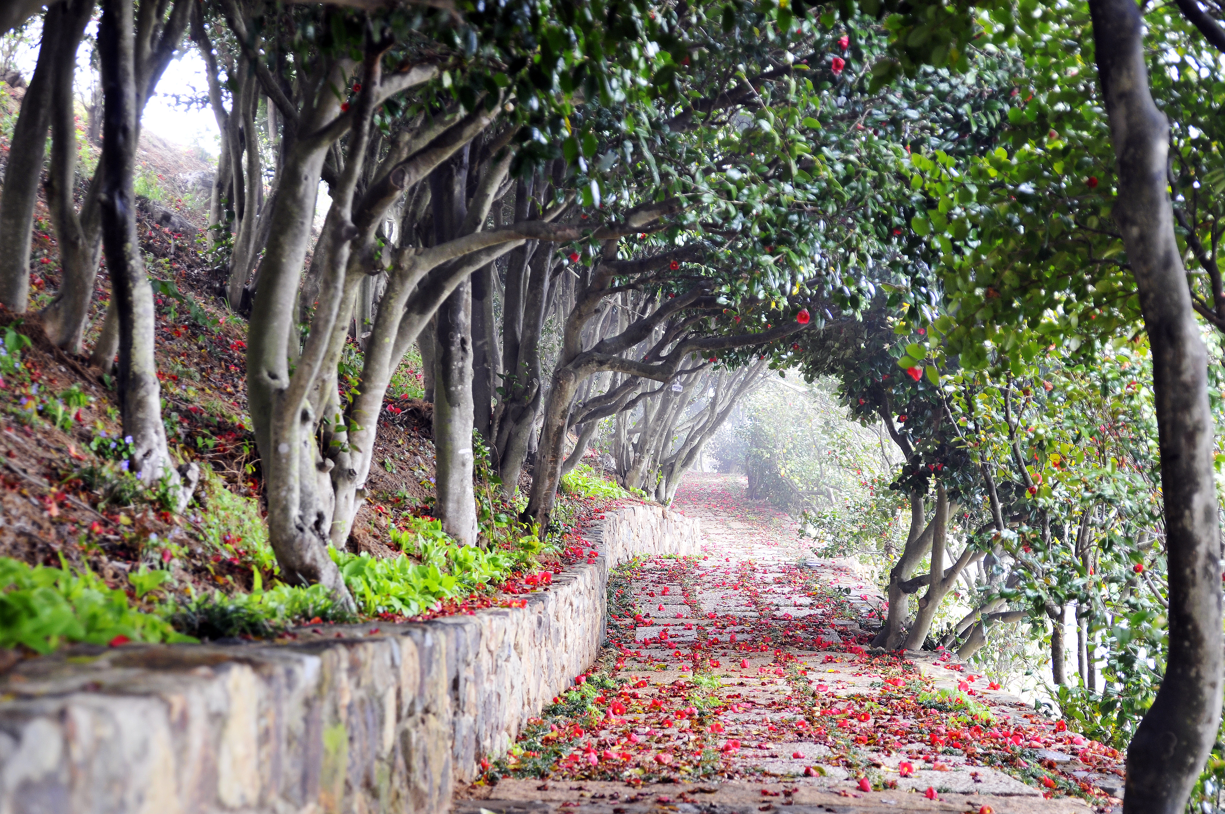 장사도 해상공원