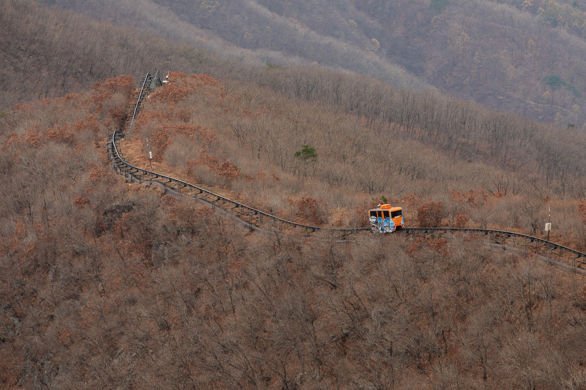 대봉산휴양밸리 모노레일