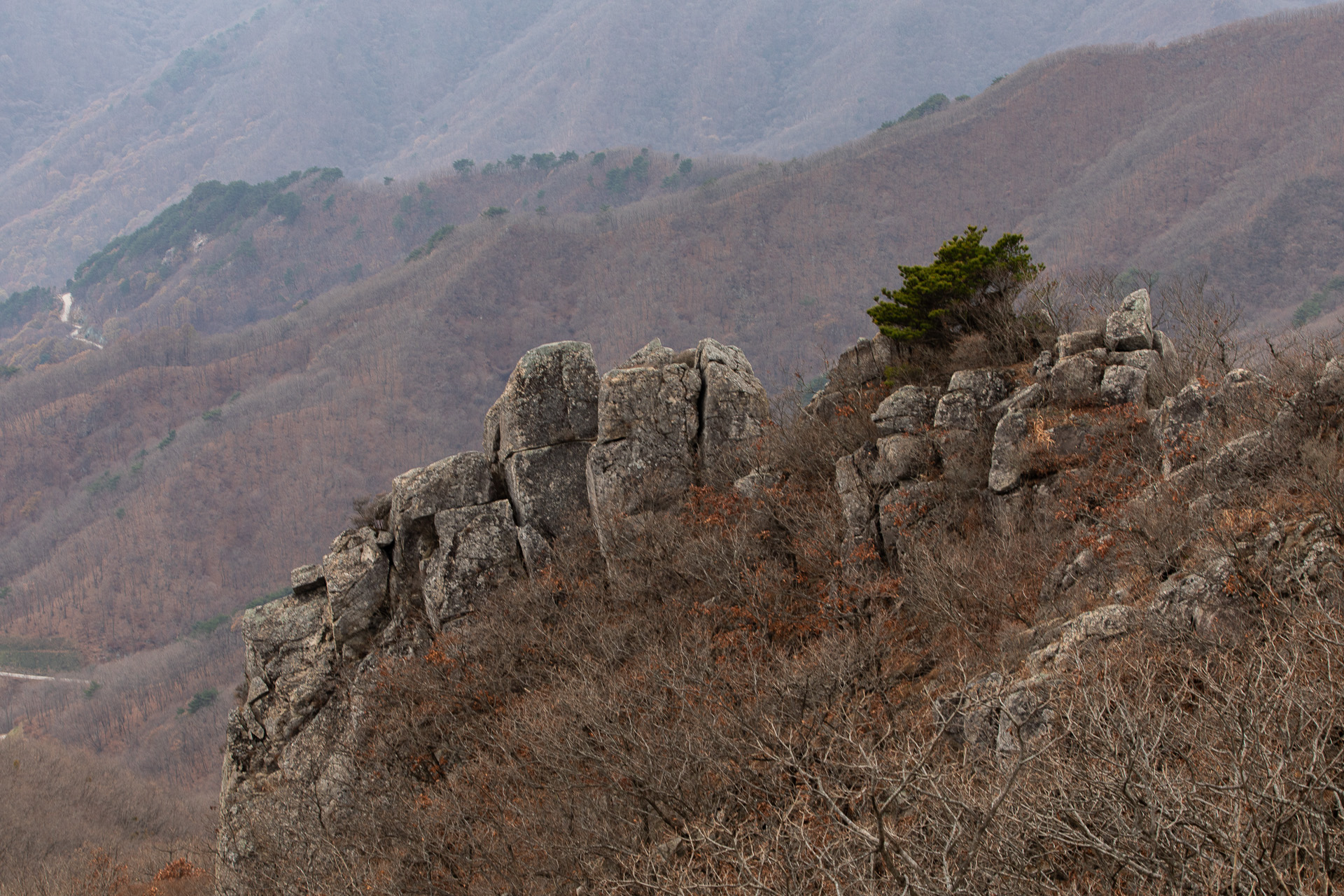대봉산휴양밸리 모노레일