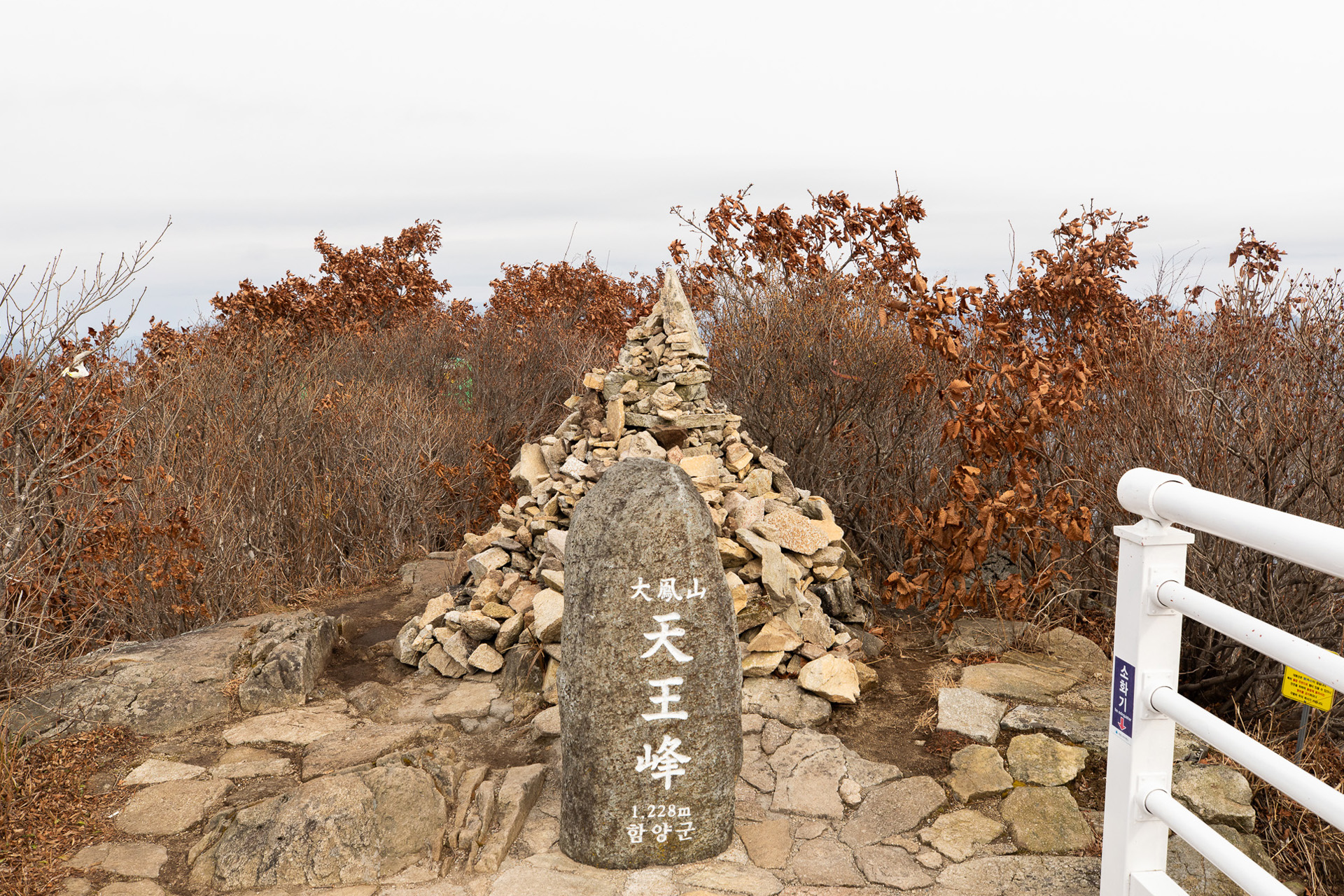 대봉산휴양밸리 모노레일