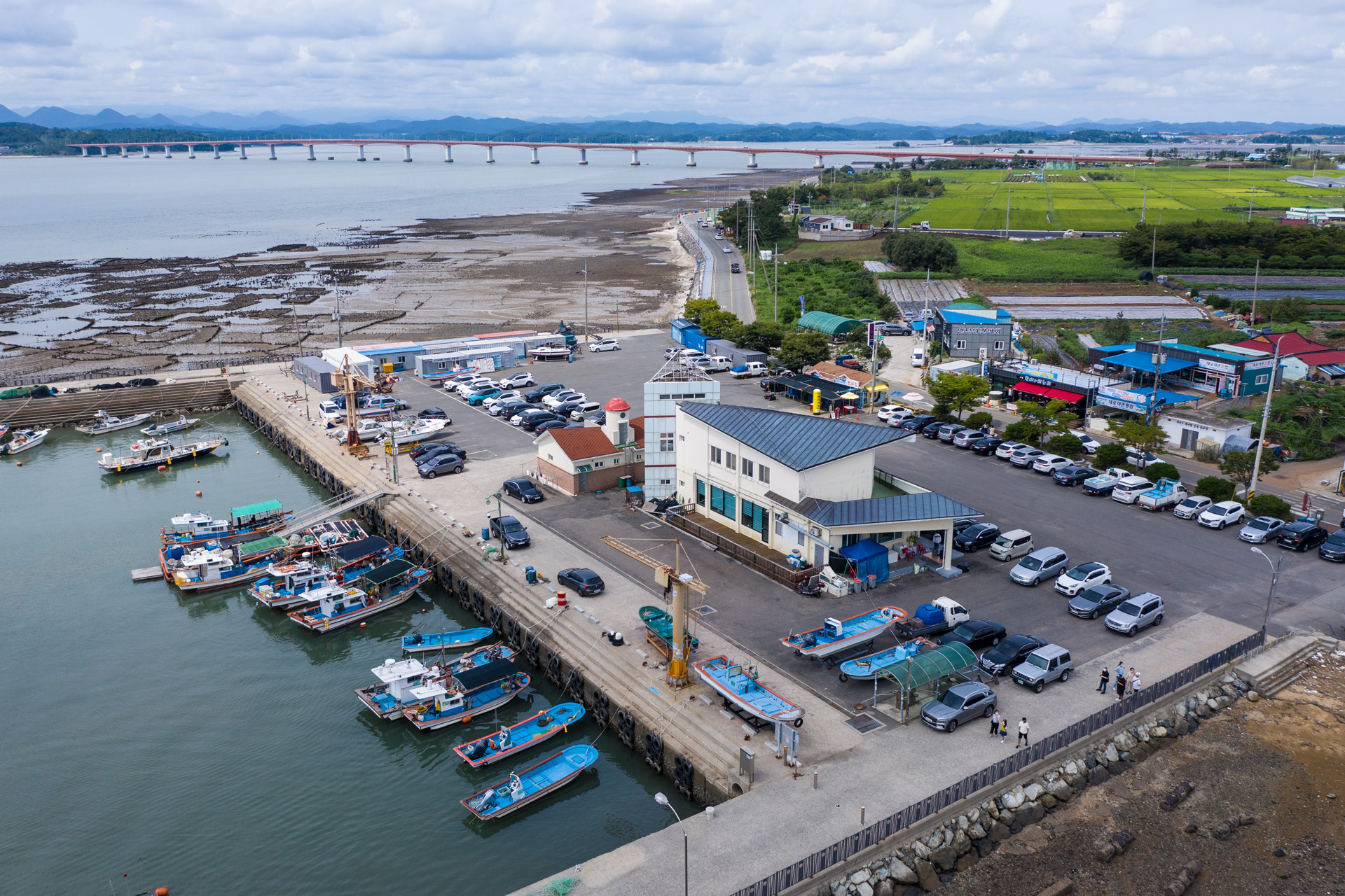 대포항