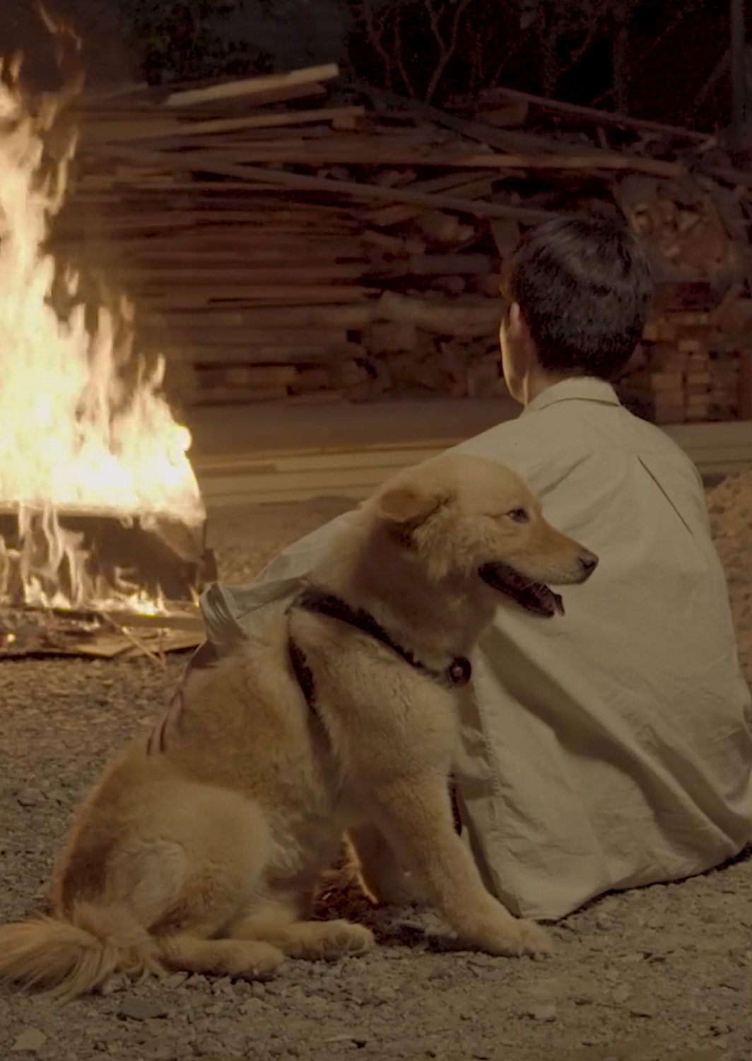 복실이의 행복을 찾아서