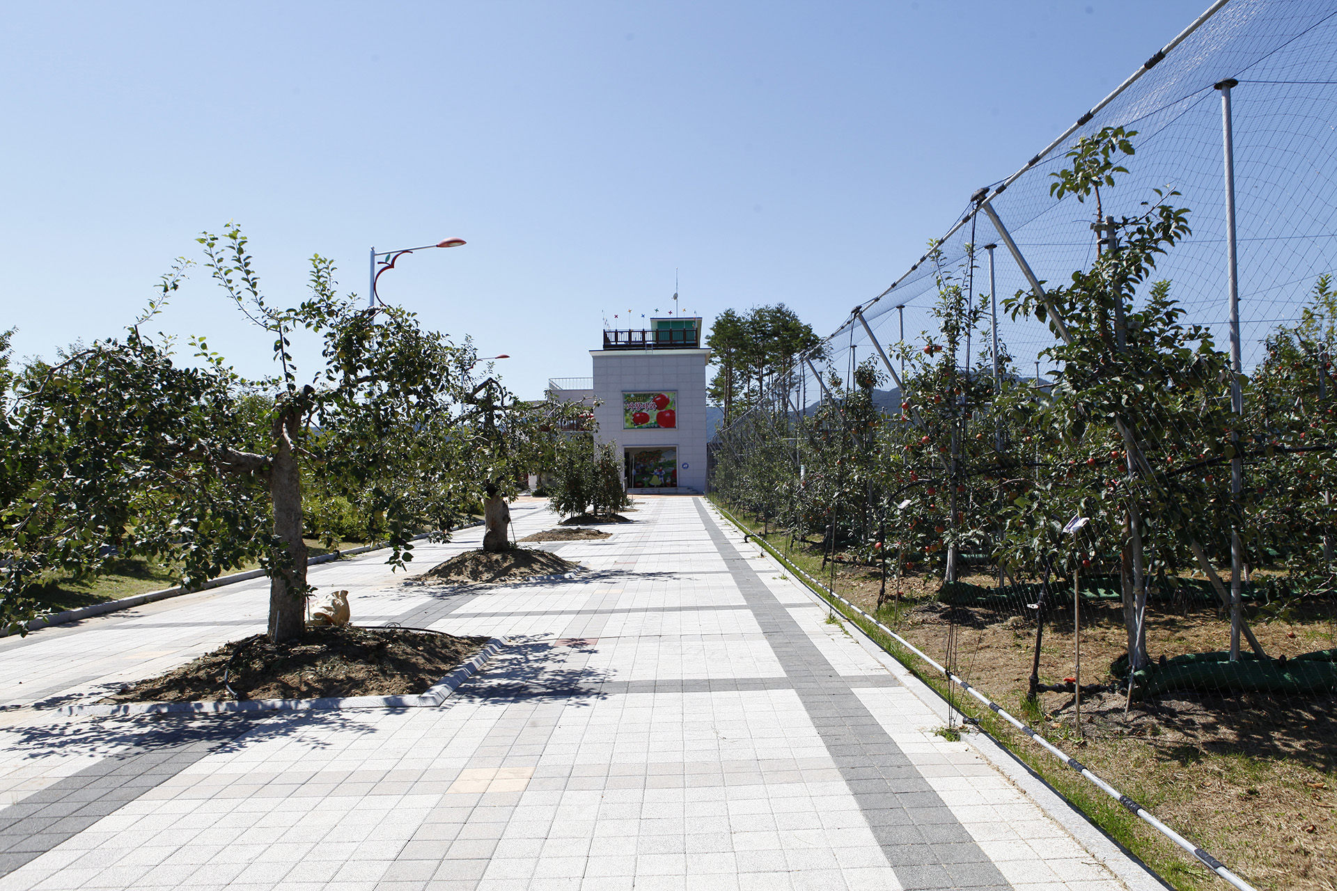  거창사과테마파크 