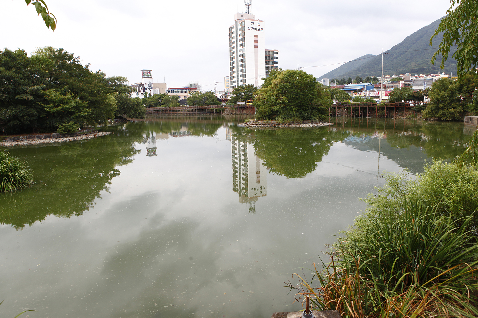 영산연지못