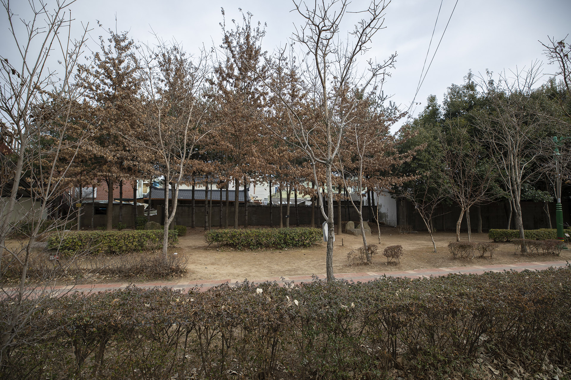 임항선 그린웨이 - 성호동 구간