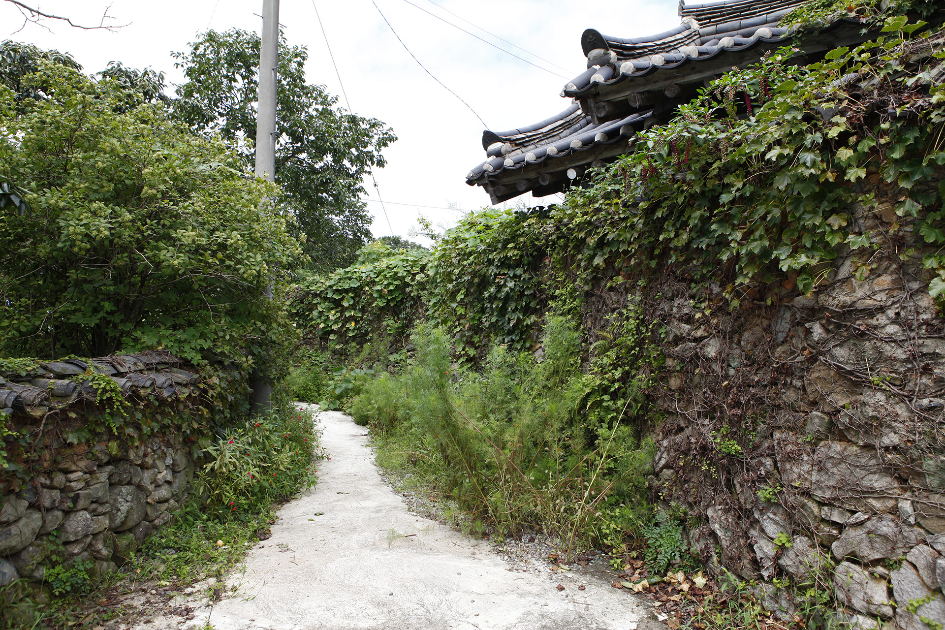 송계리 이씨고가 