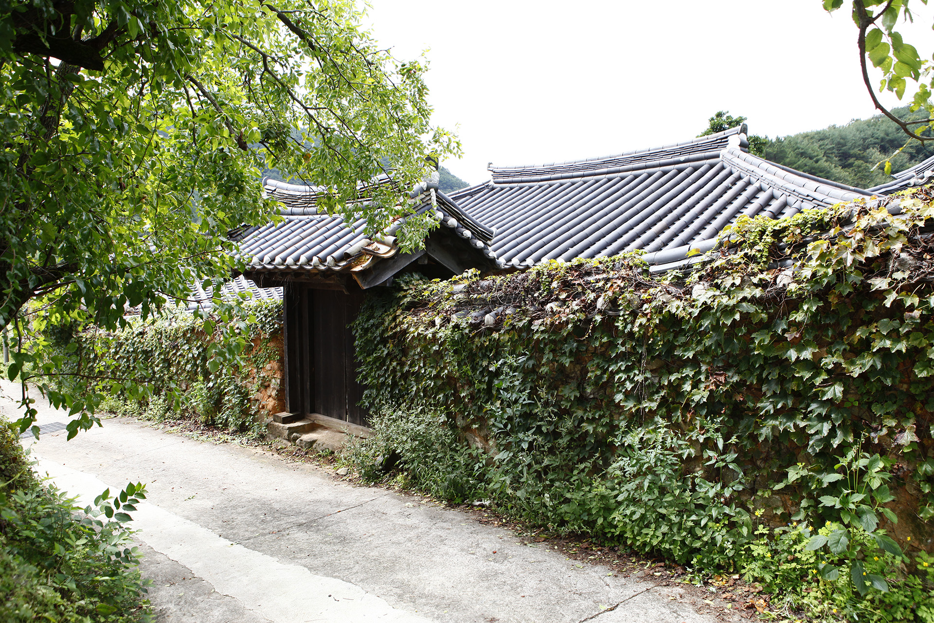 송계리 이씨고가 