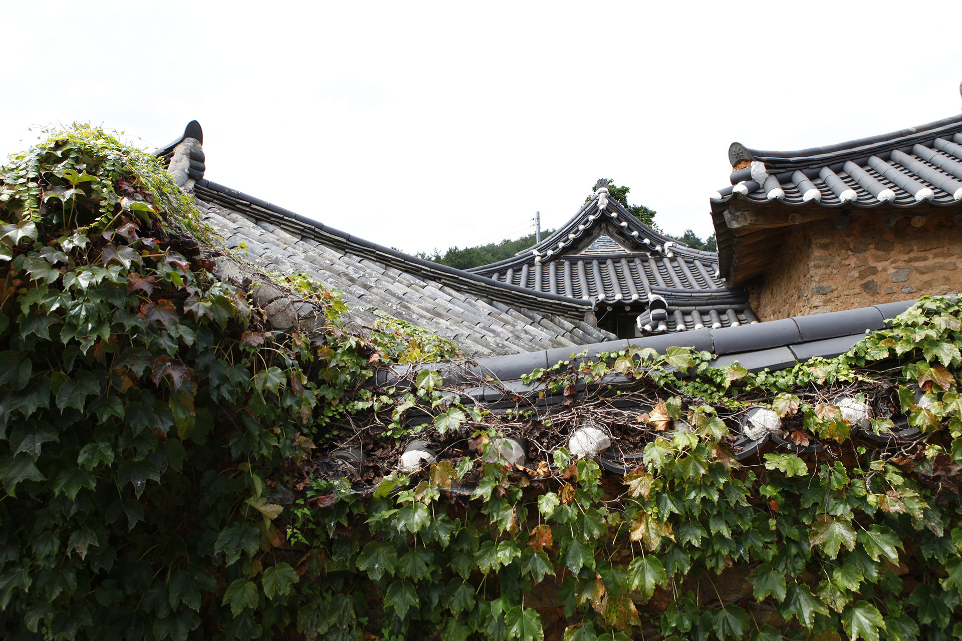 송계리 이씨고가 