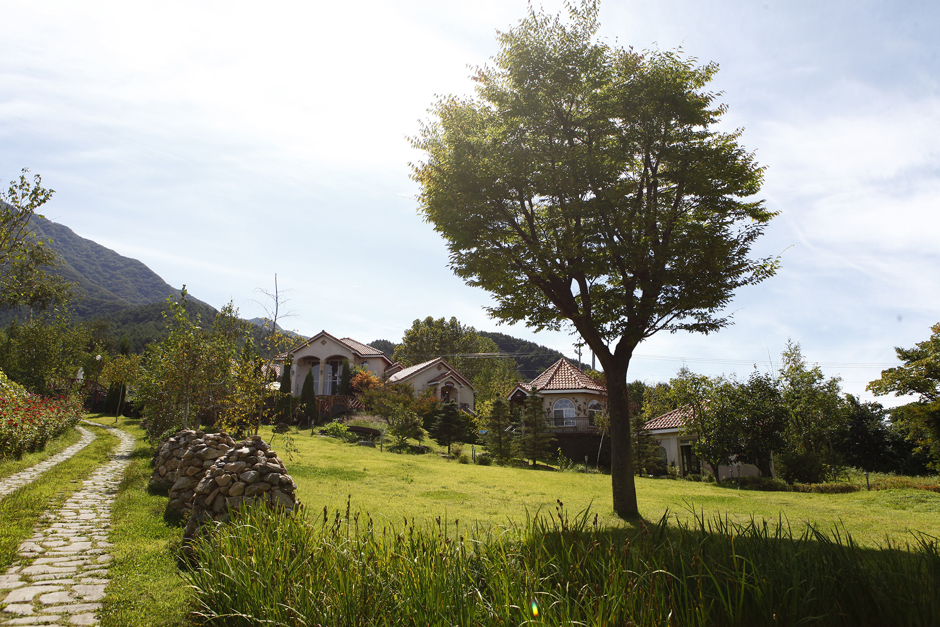 하미앙 와인밸리