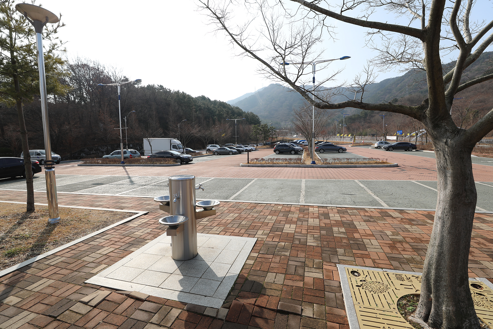 창원 펫빌리지 놀이터