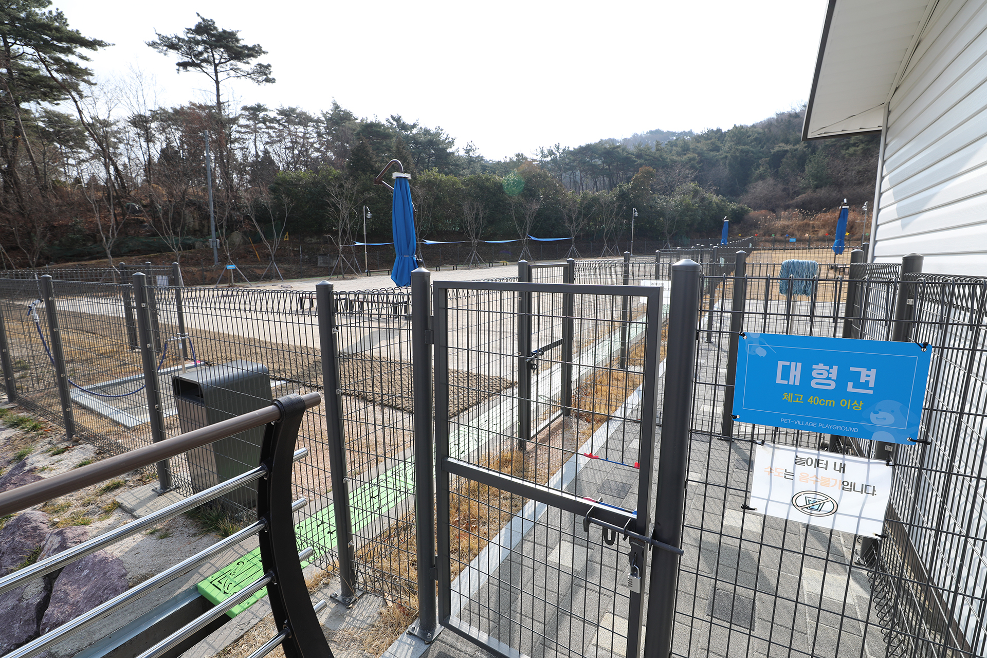 창원 펫빌리지 놀이터
