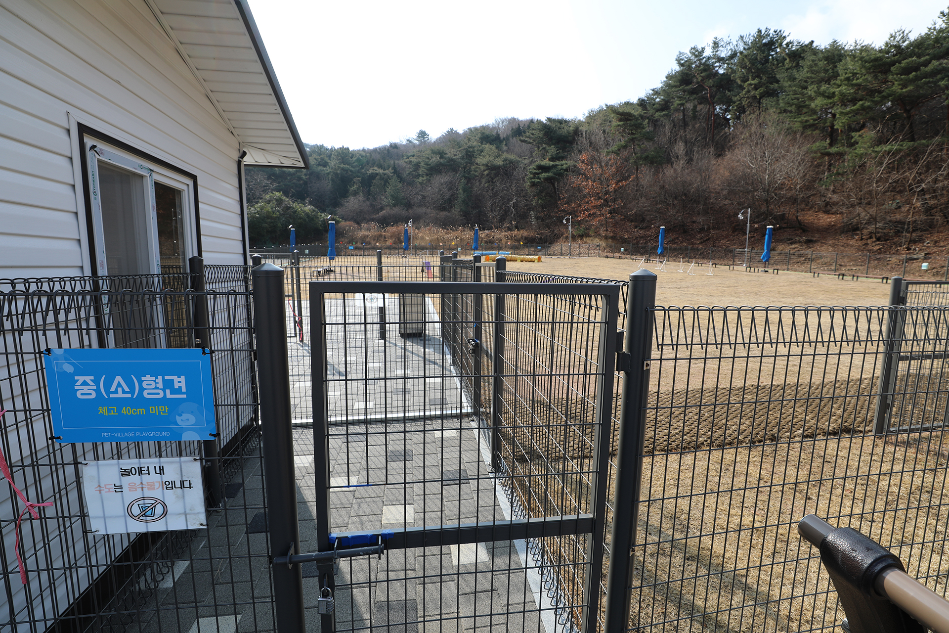 창원 펫빌리지 놀이터