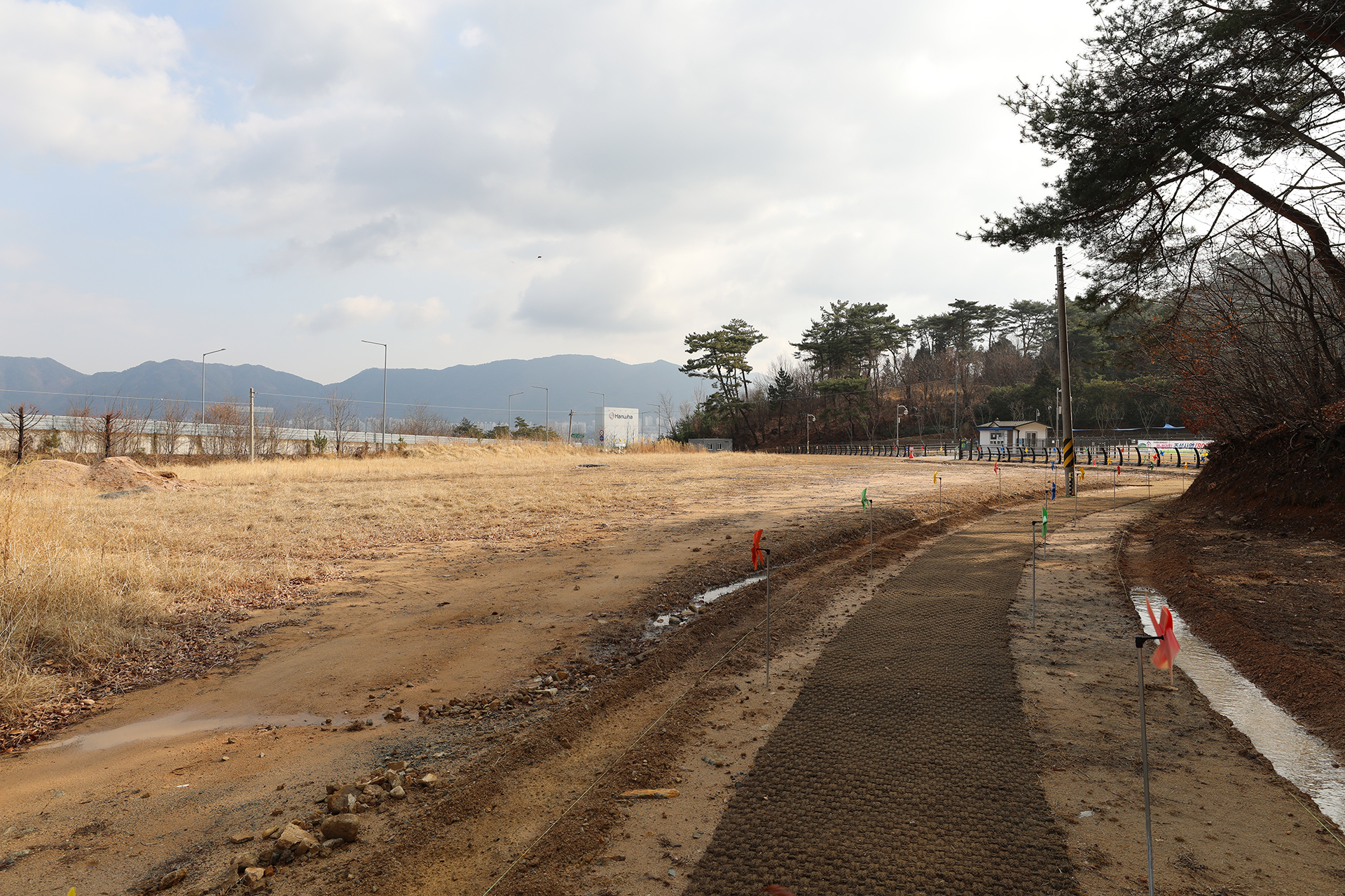 창원 펫빌리지 놀이터