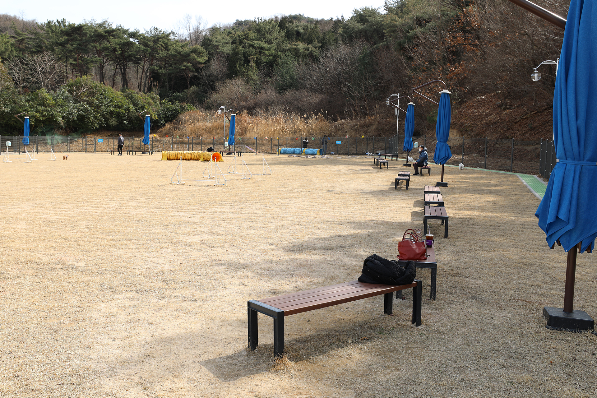 창원 펫빌리지 놀이터