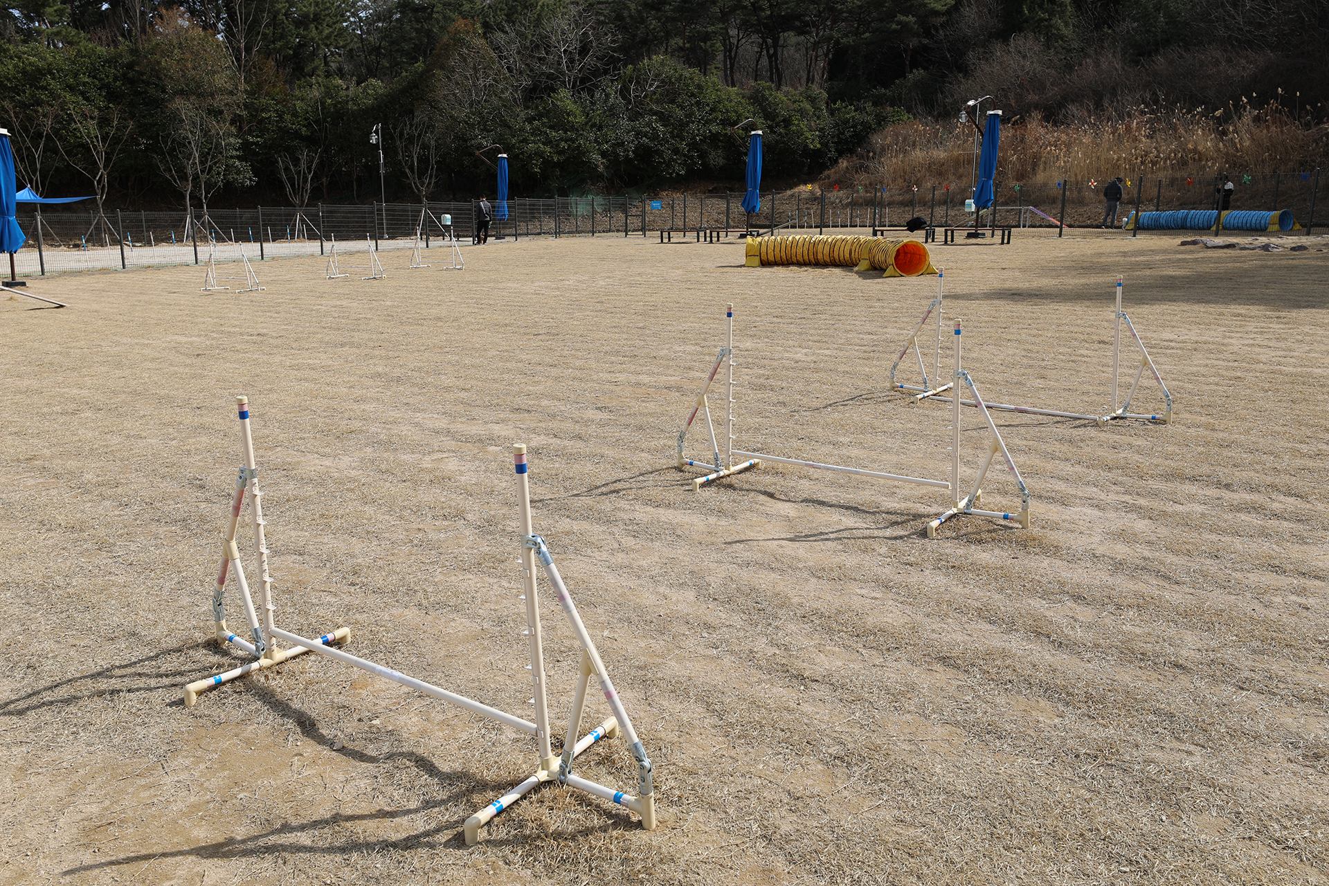 창원 펫빌리지 놀이터