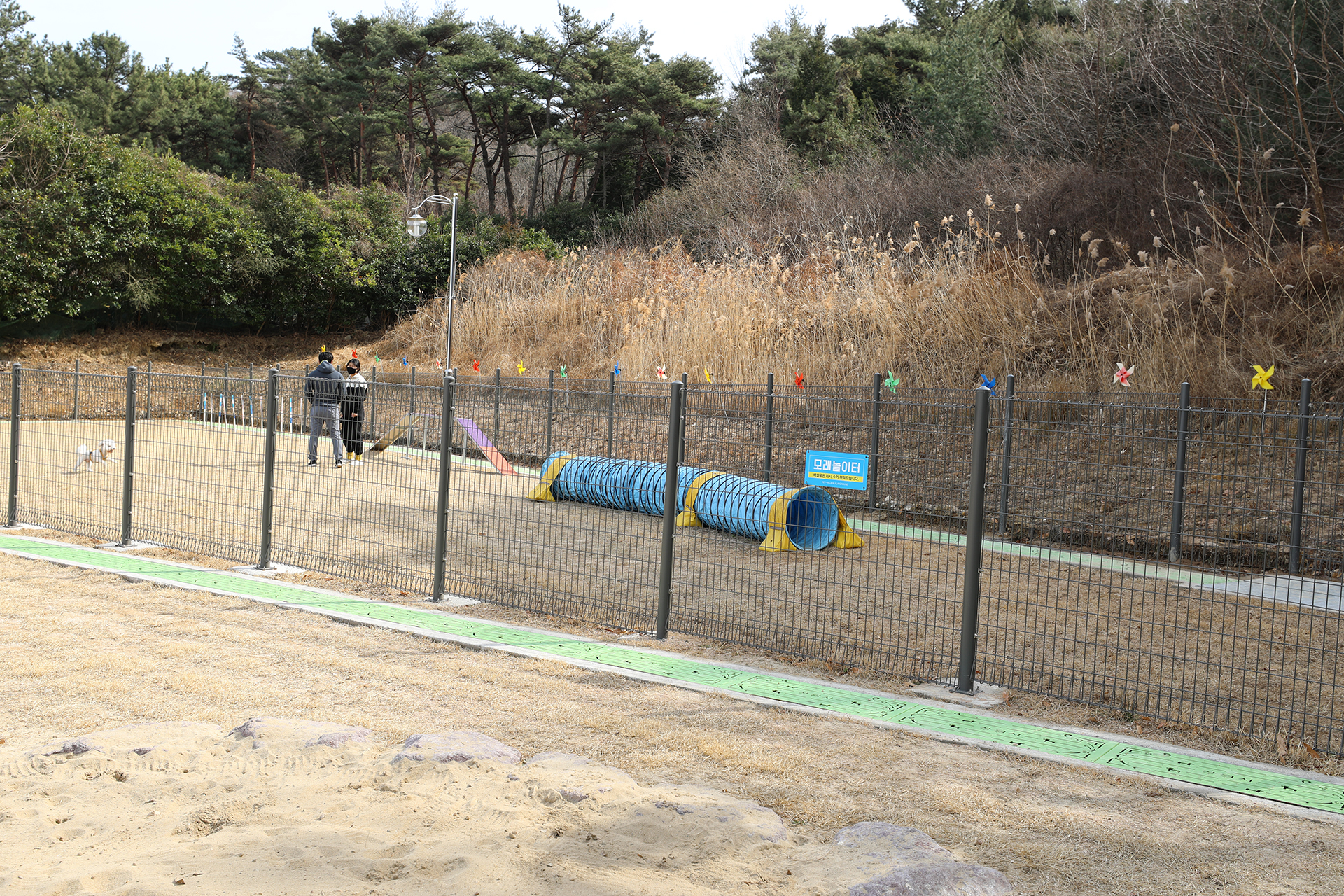창원 펫빌리지 놀이터