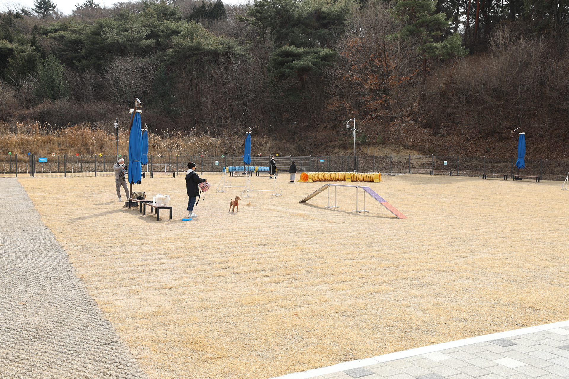 창원 펫빌리지 놀이터