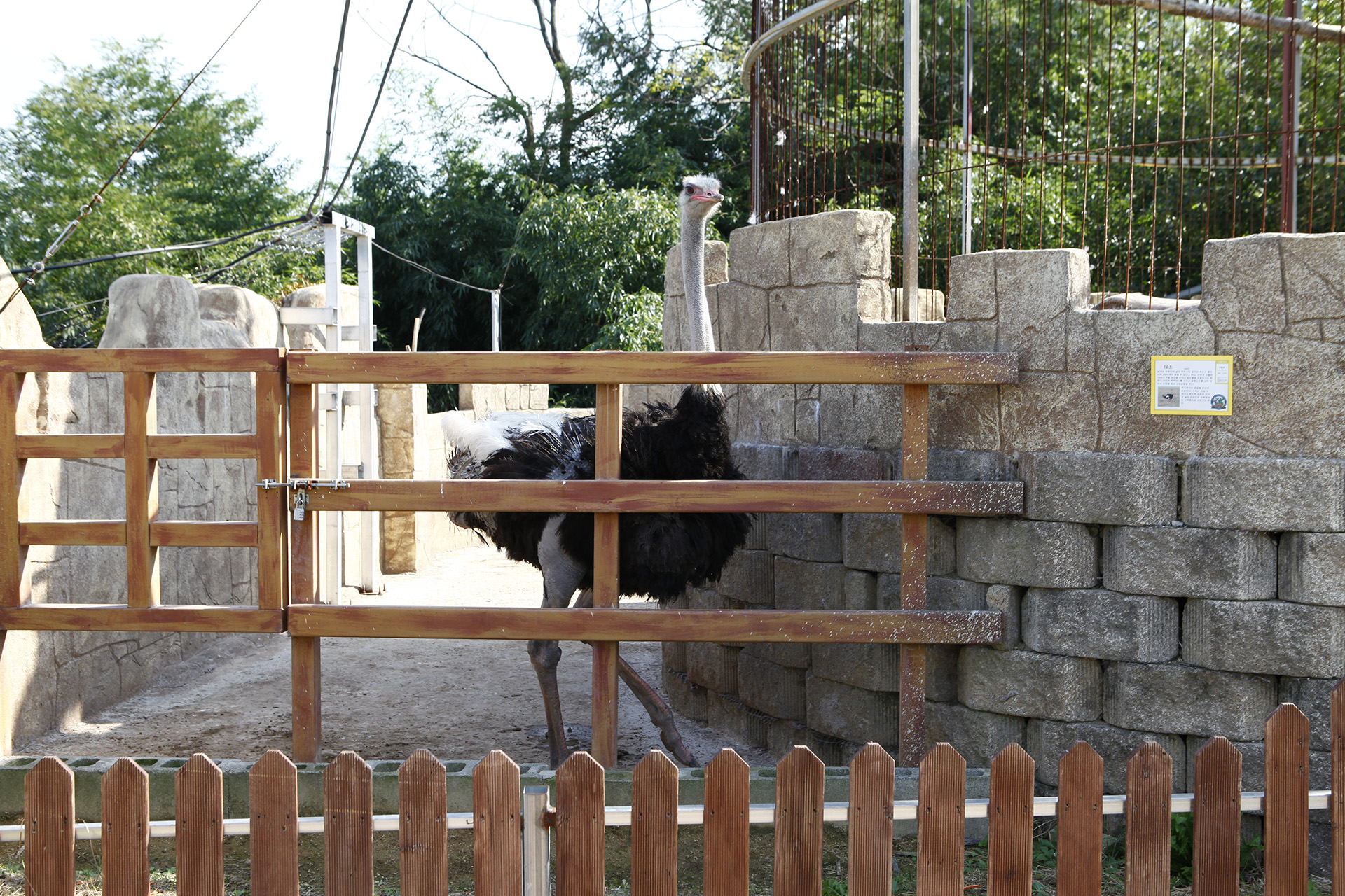 부경동물원 [폐쇄]