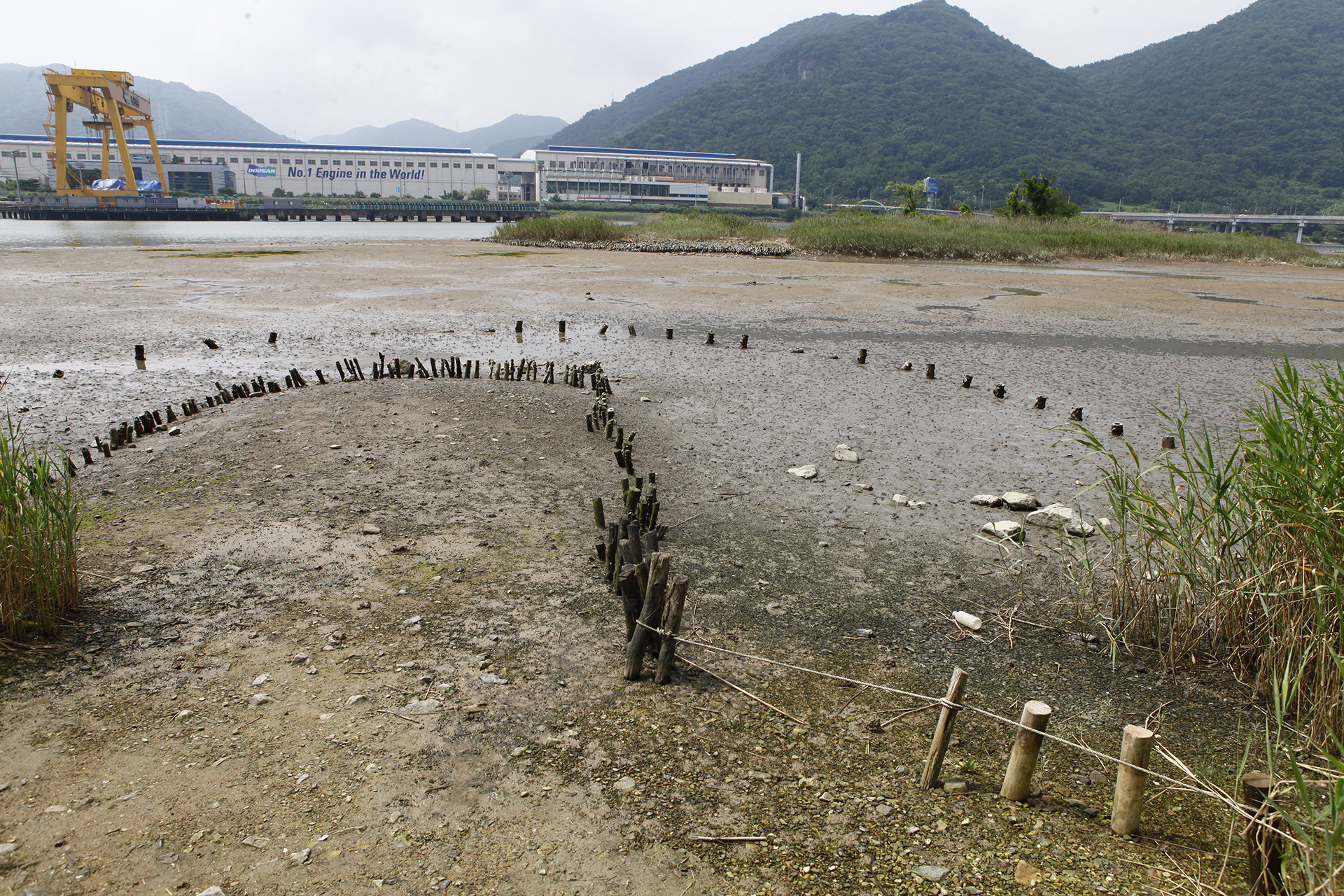 봉암갯벌 생태학습장 