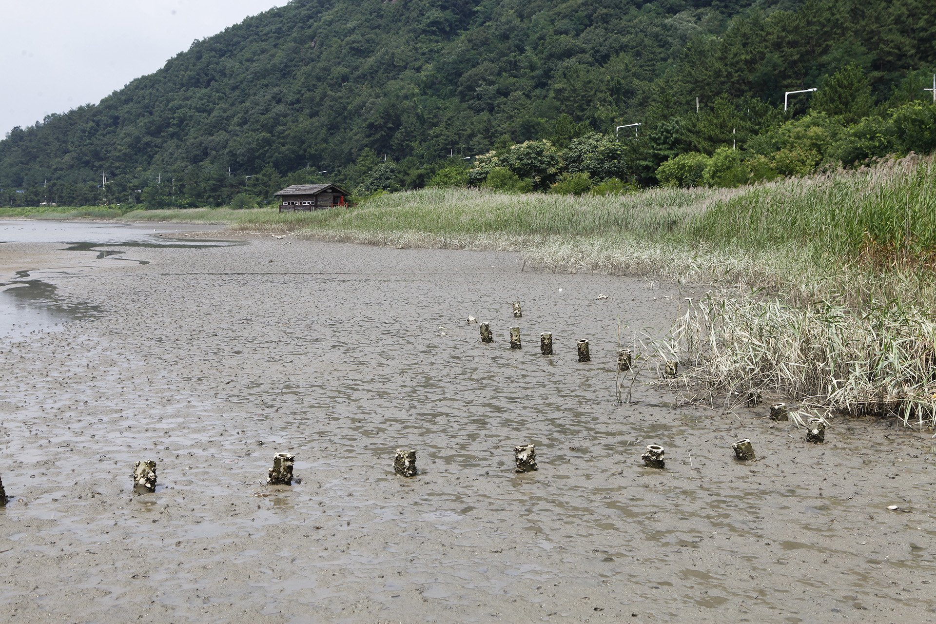 봉암갯벌 생태학습장 