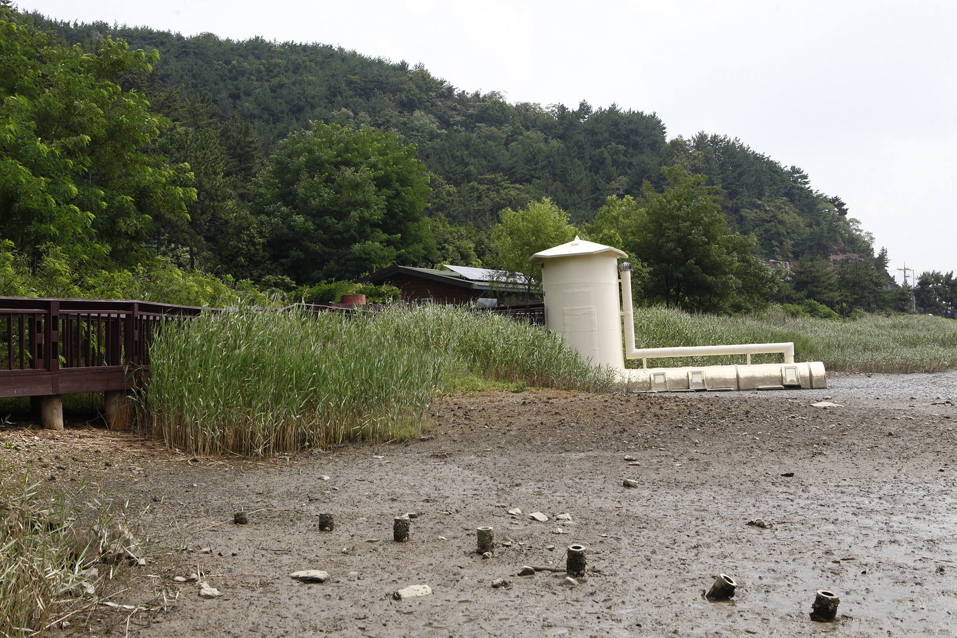 봉암갯벌 생태학습장 