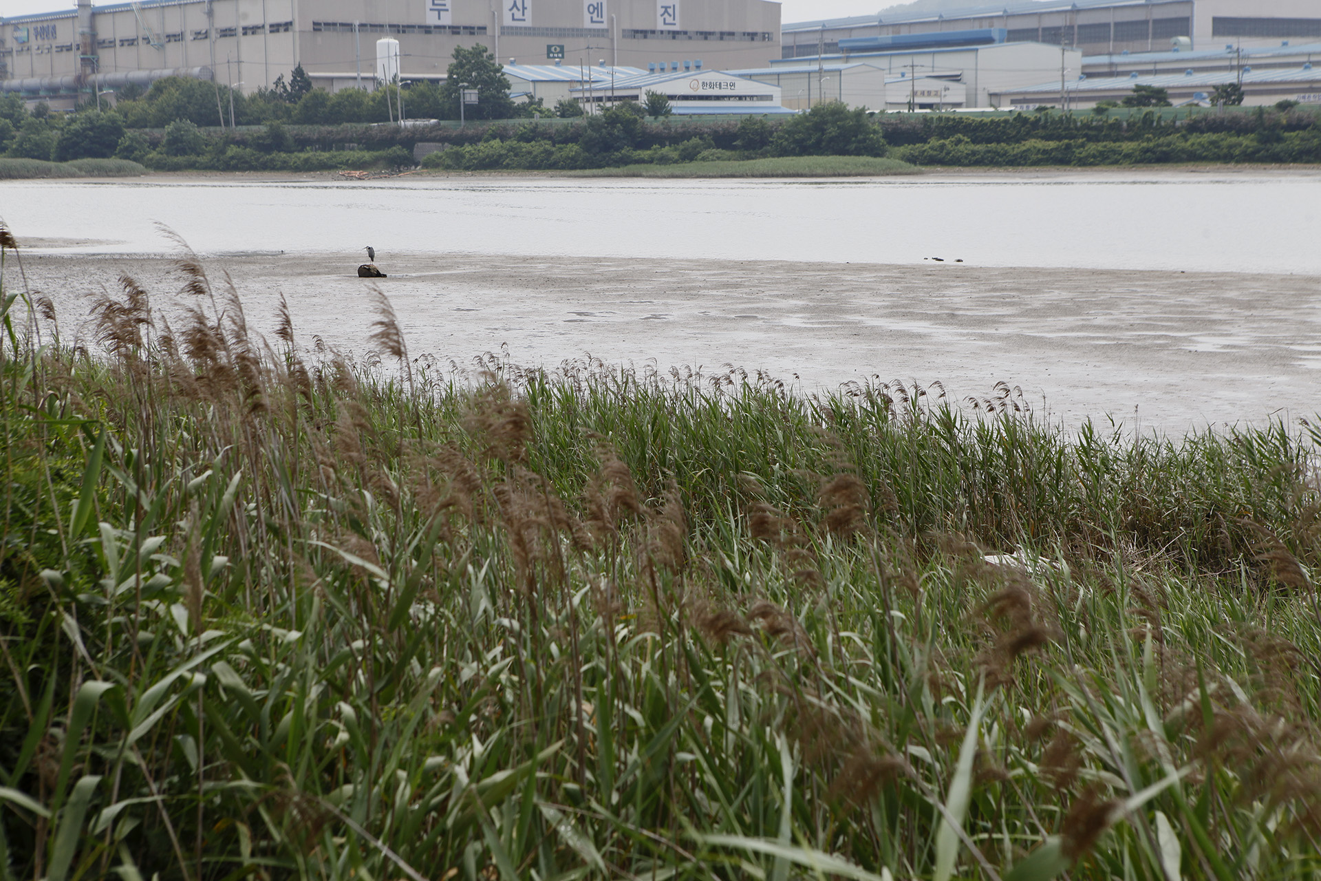 봉암갯벌 생태학습장 