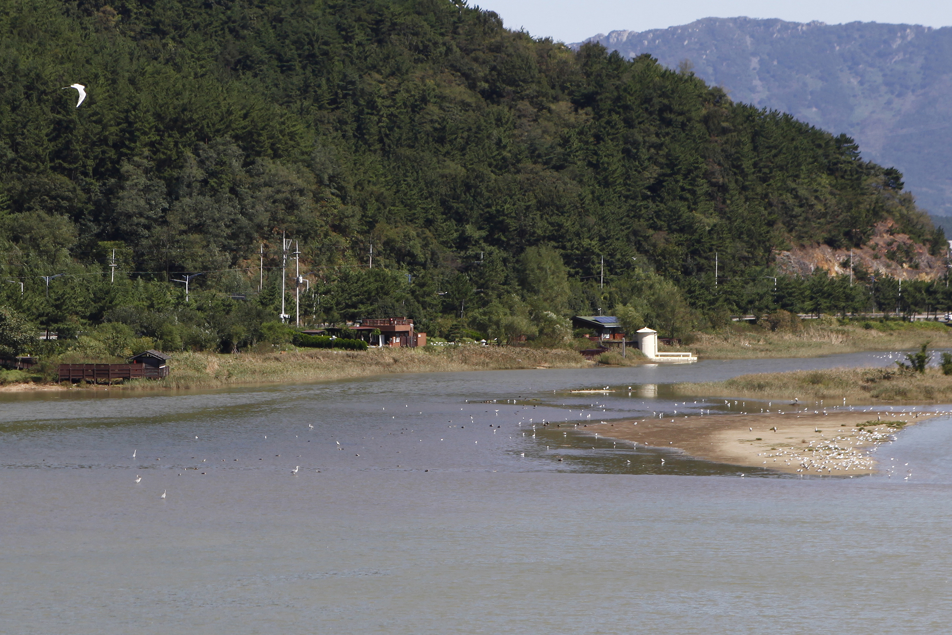 봉암갯벌 생태학습장 