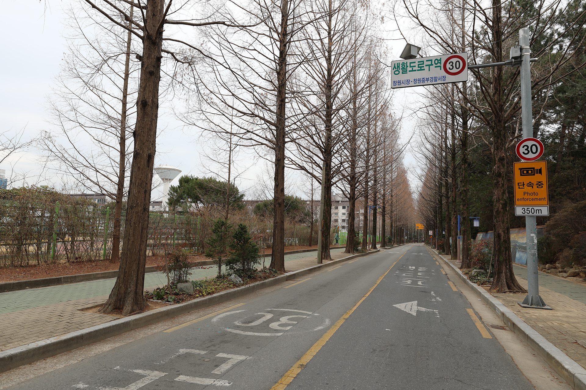 창원시 가로수길 카페거리