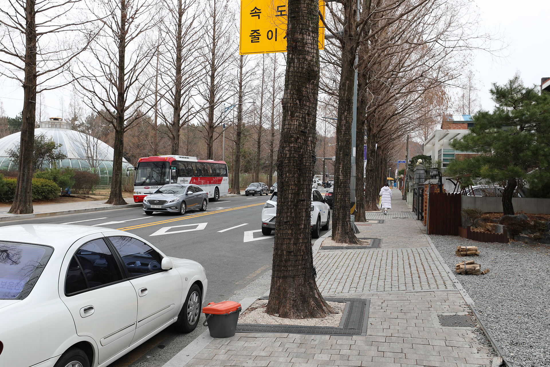 창원시 가로수길 카페거리