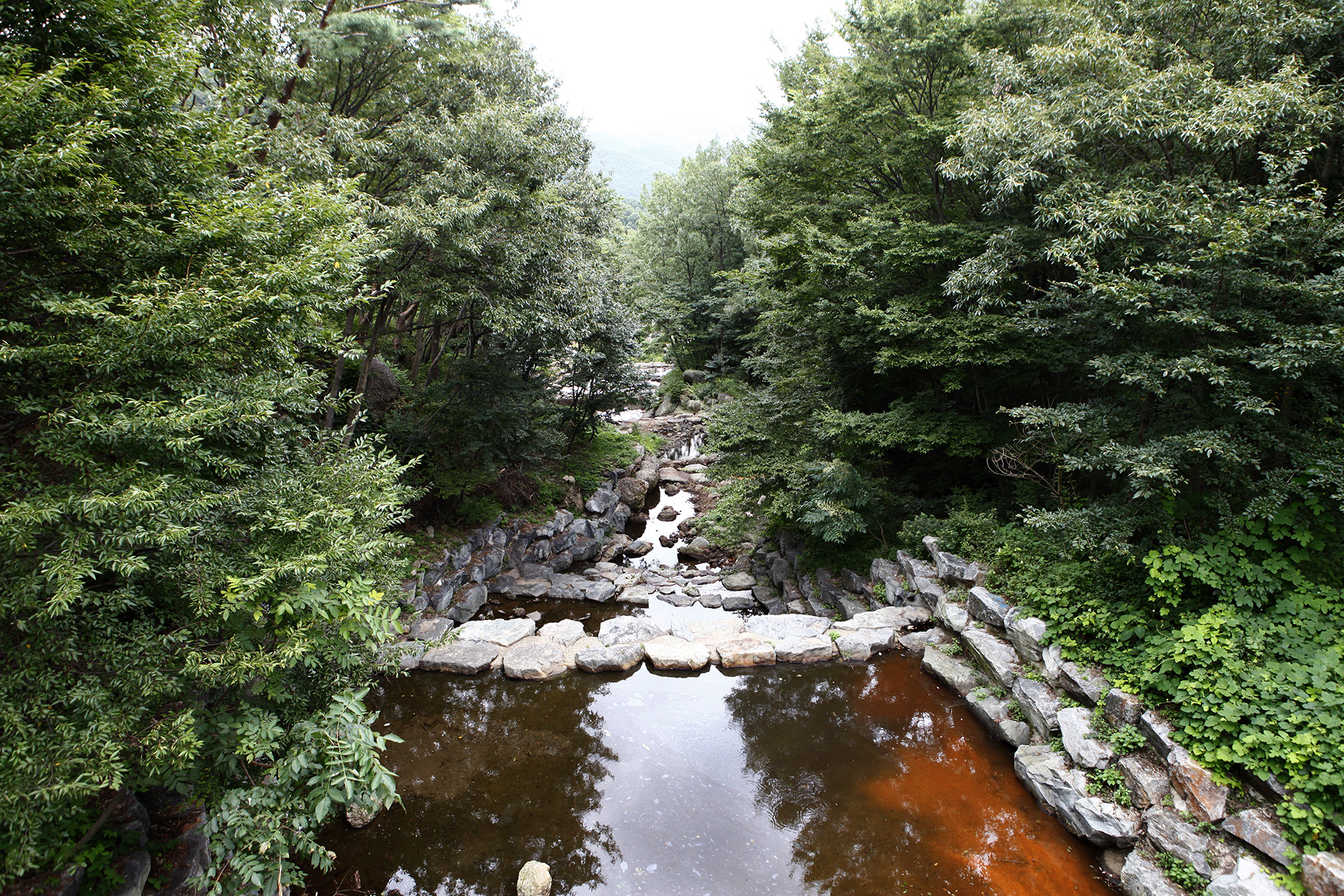 구재봉 자연휴양림