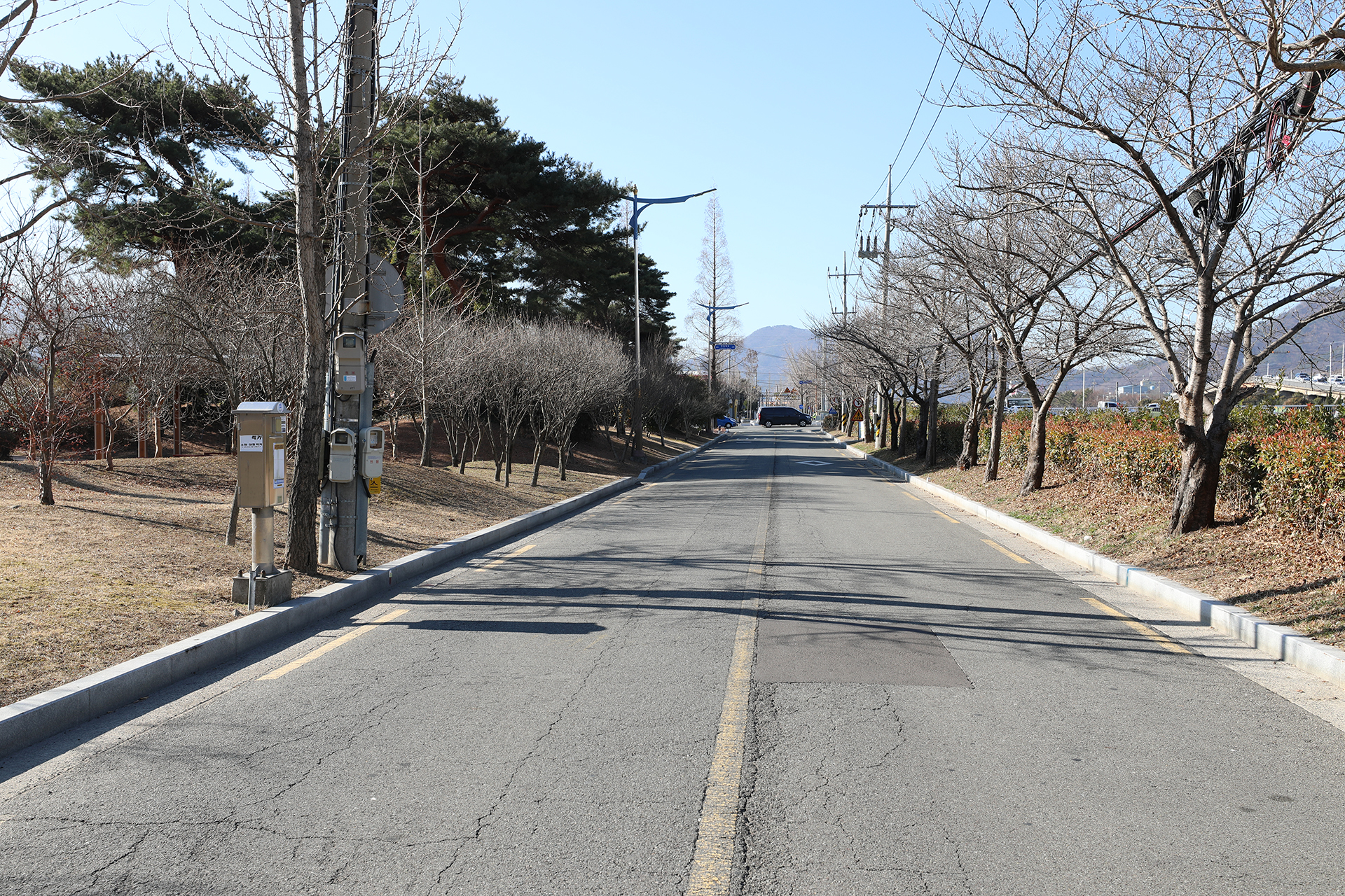 팔용동 도심 하천