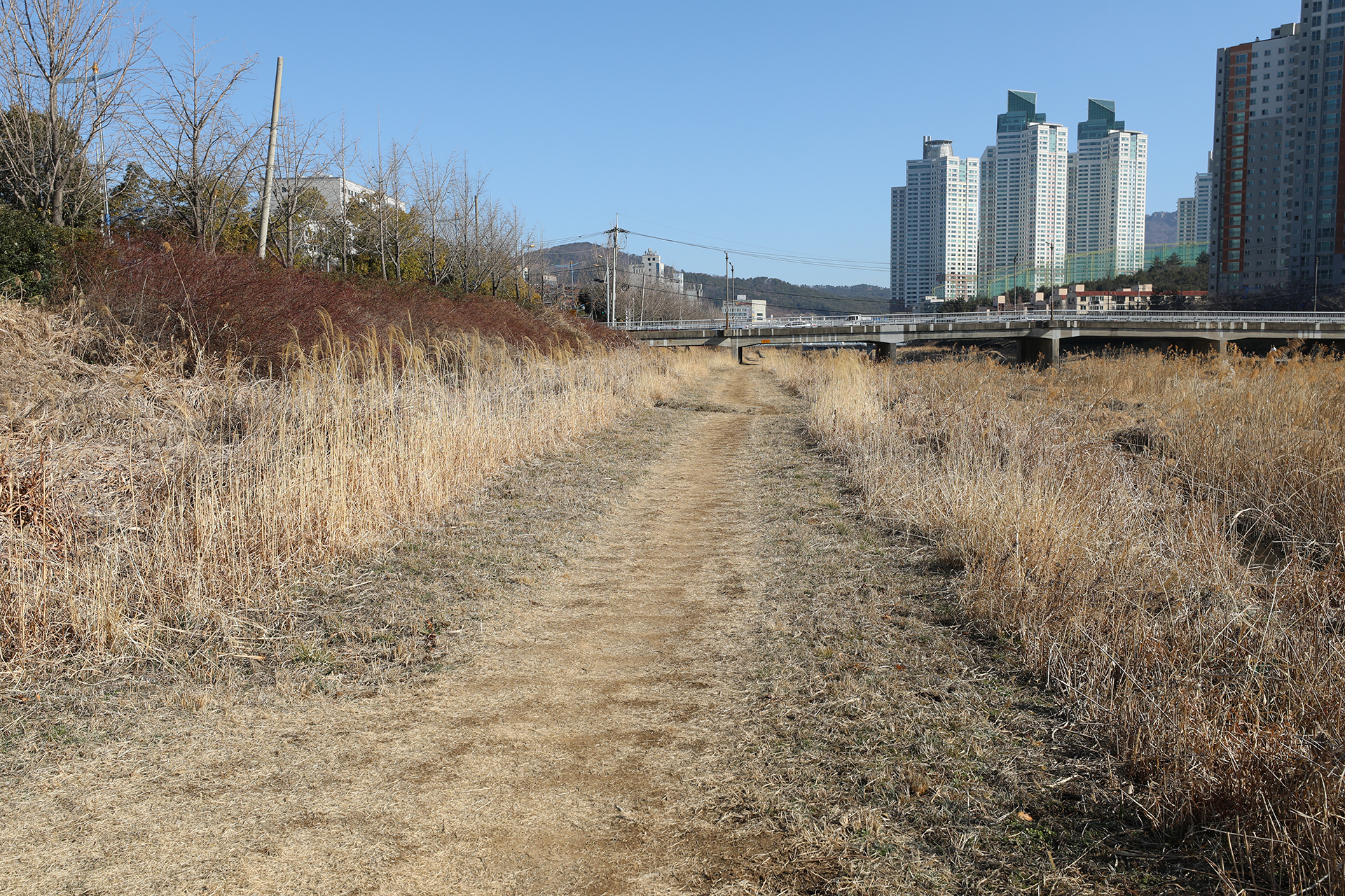 팔용동 도심 하천