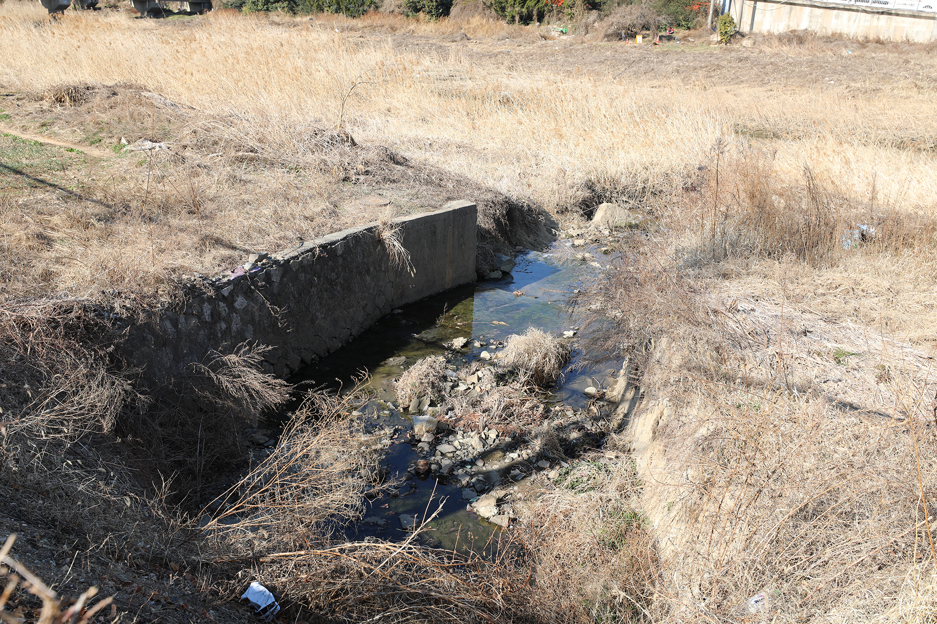 팔용동 도심 하천
