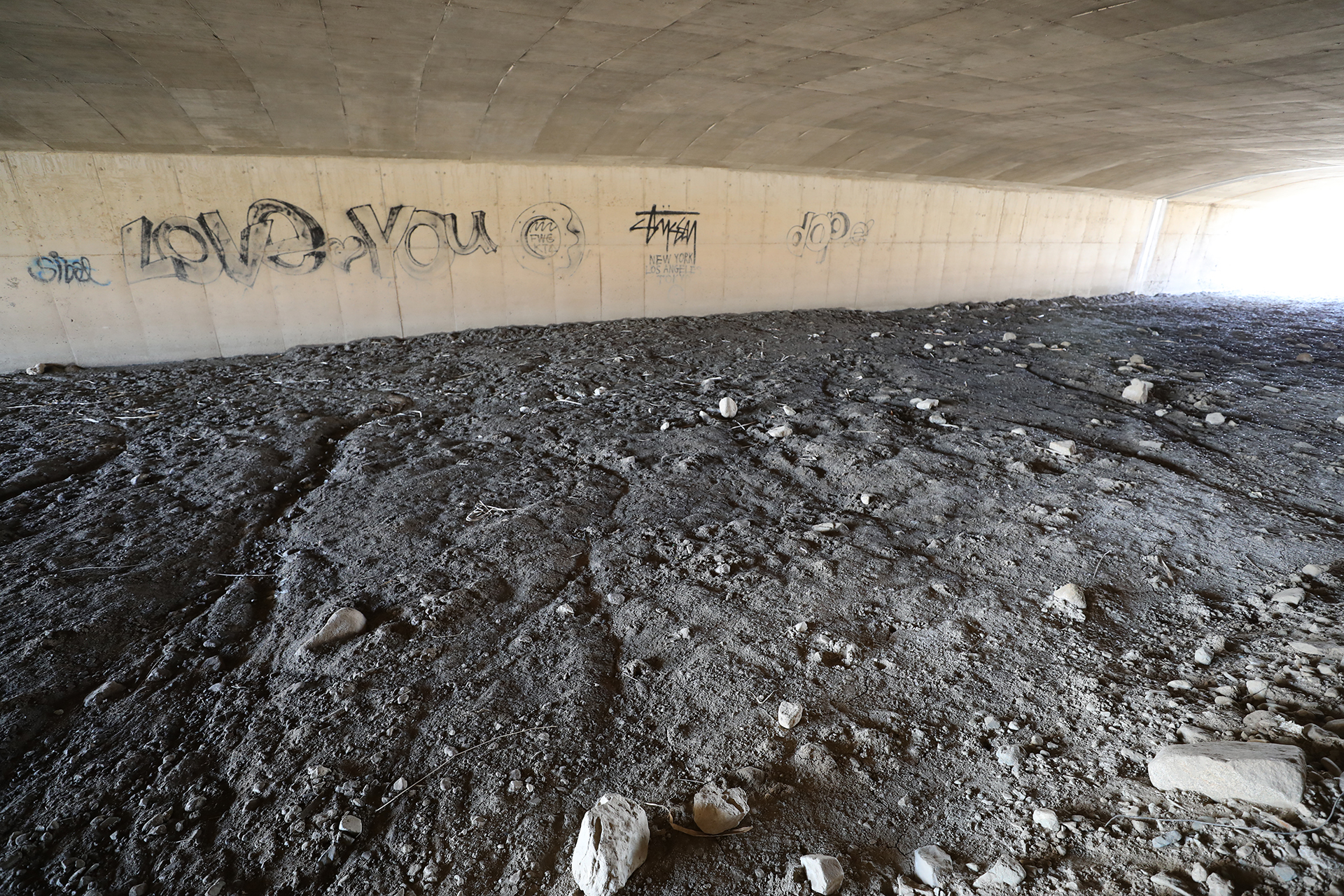 팔용동 도심 하천