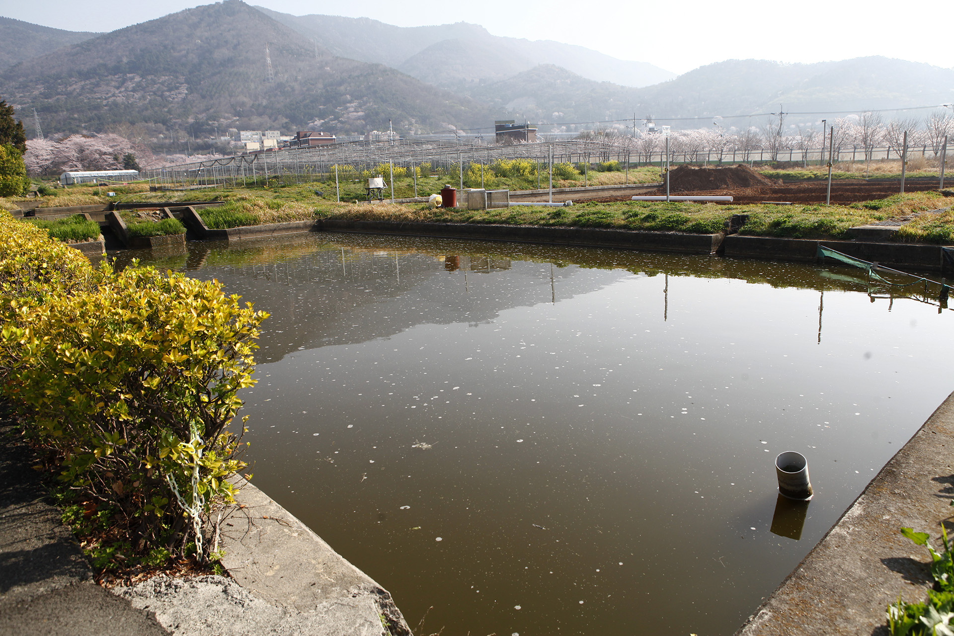  내수면양식연구센터