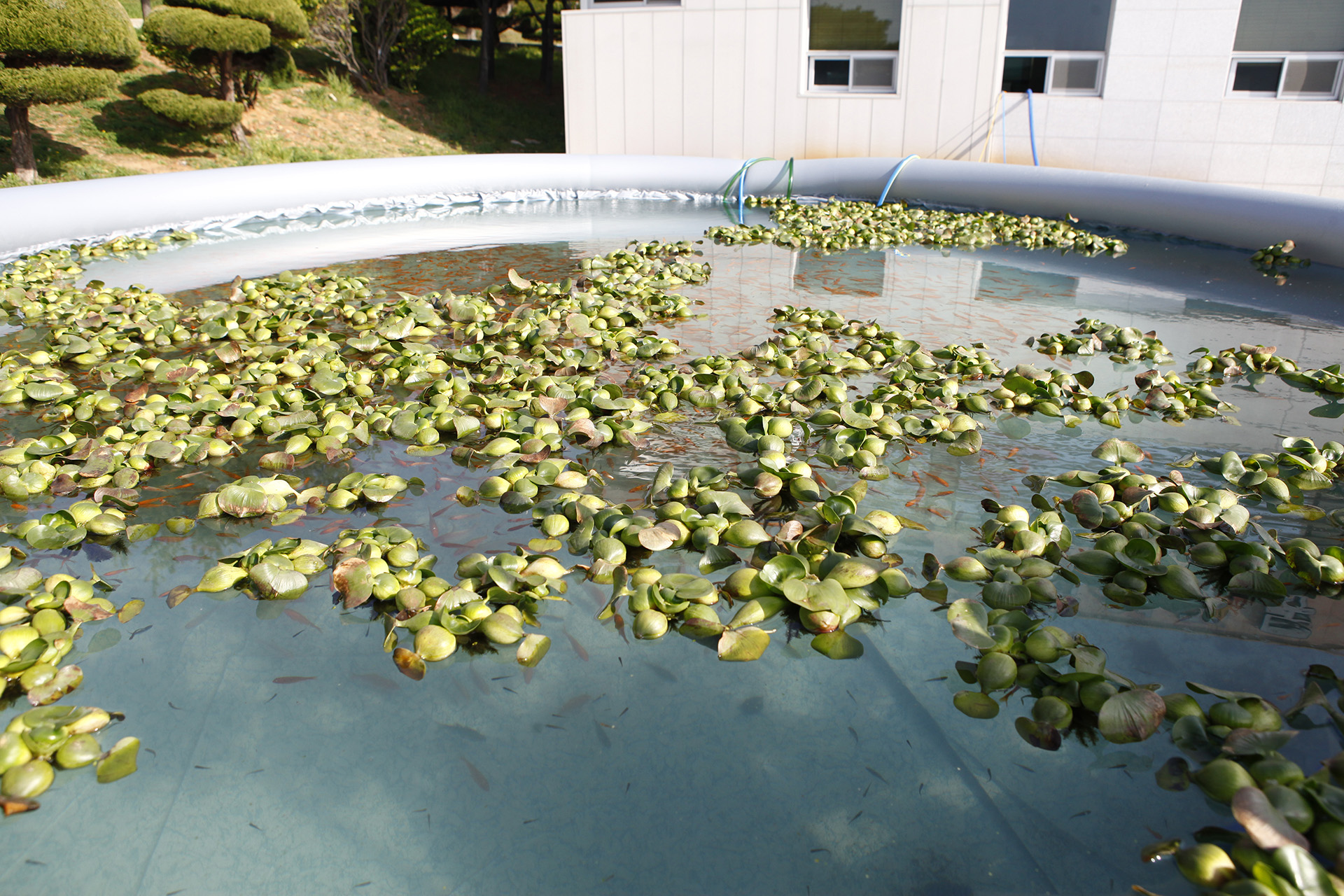  내수면양식연구센터